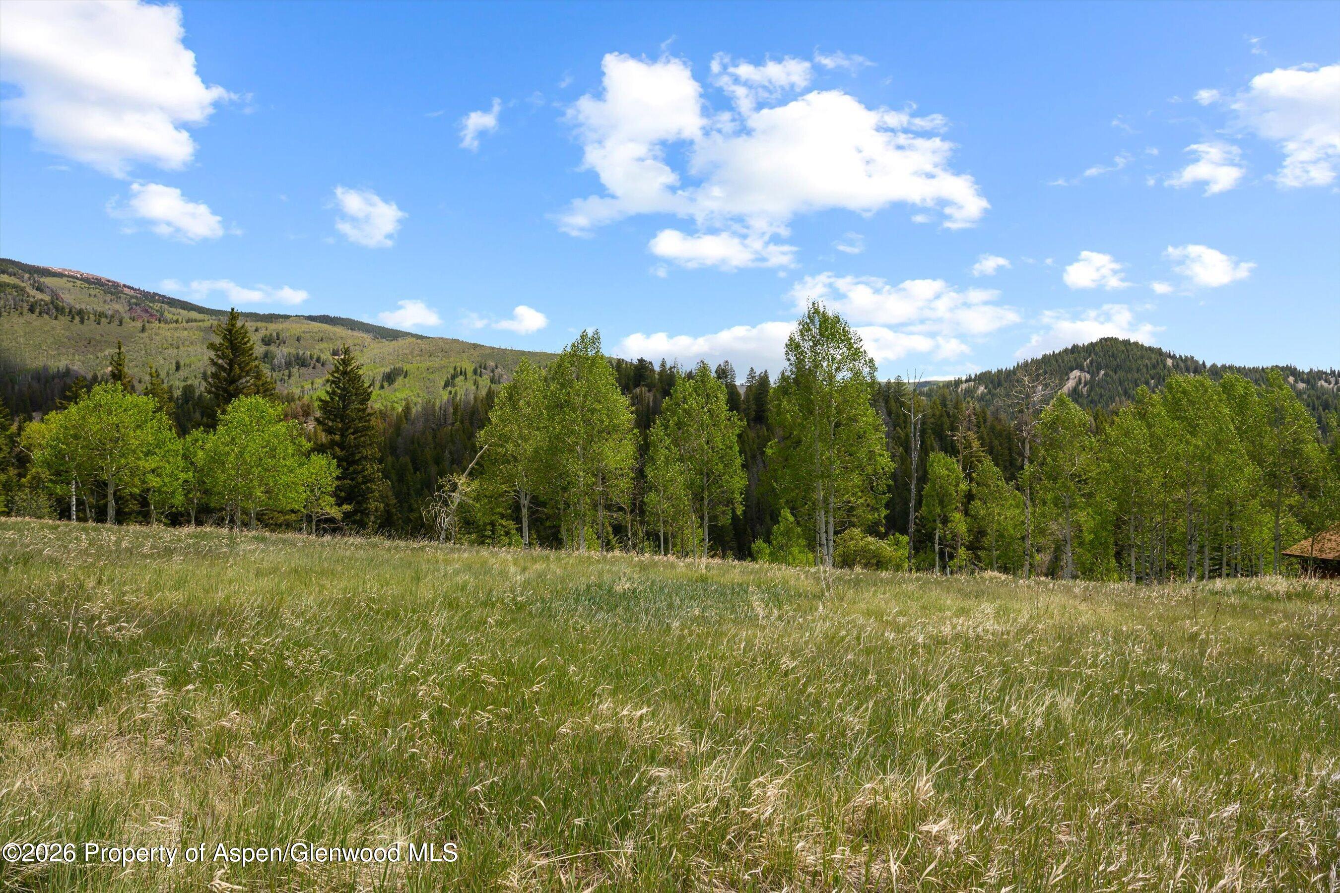 1239 Mclaughlin Lane Basalt CO 81621