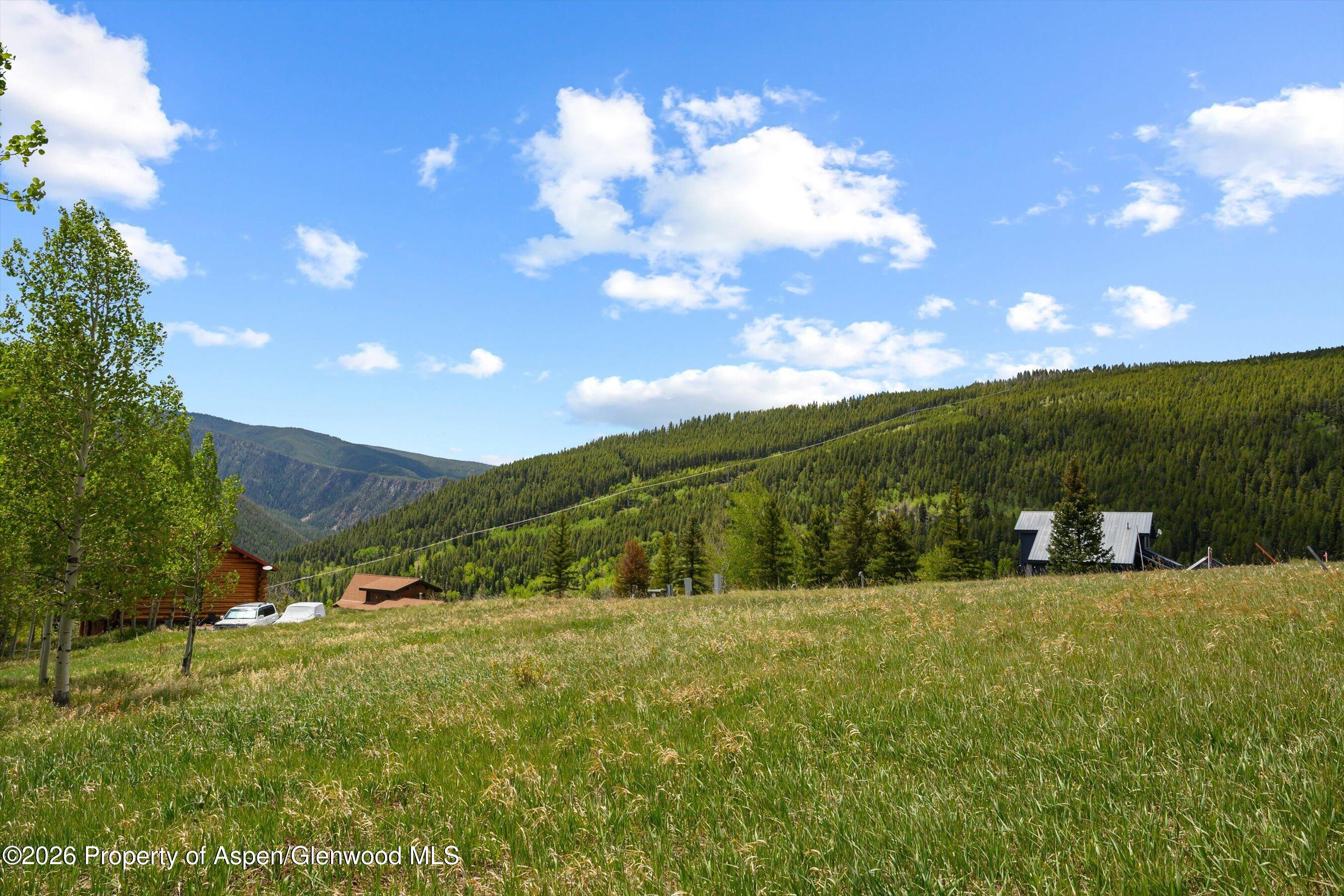 1239 Mclaughlin Lane Basalt CO 81621