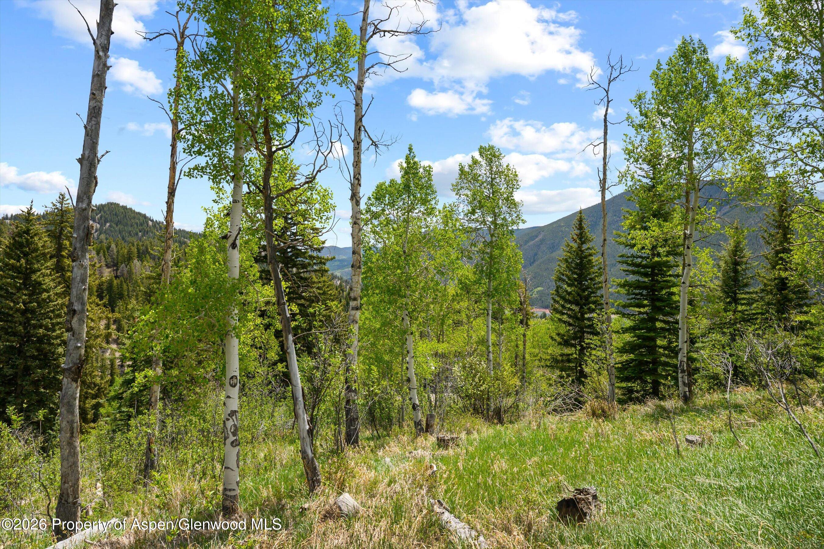 1239 Mclaughlin Lane Basalt CO 81621