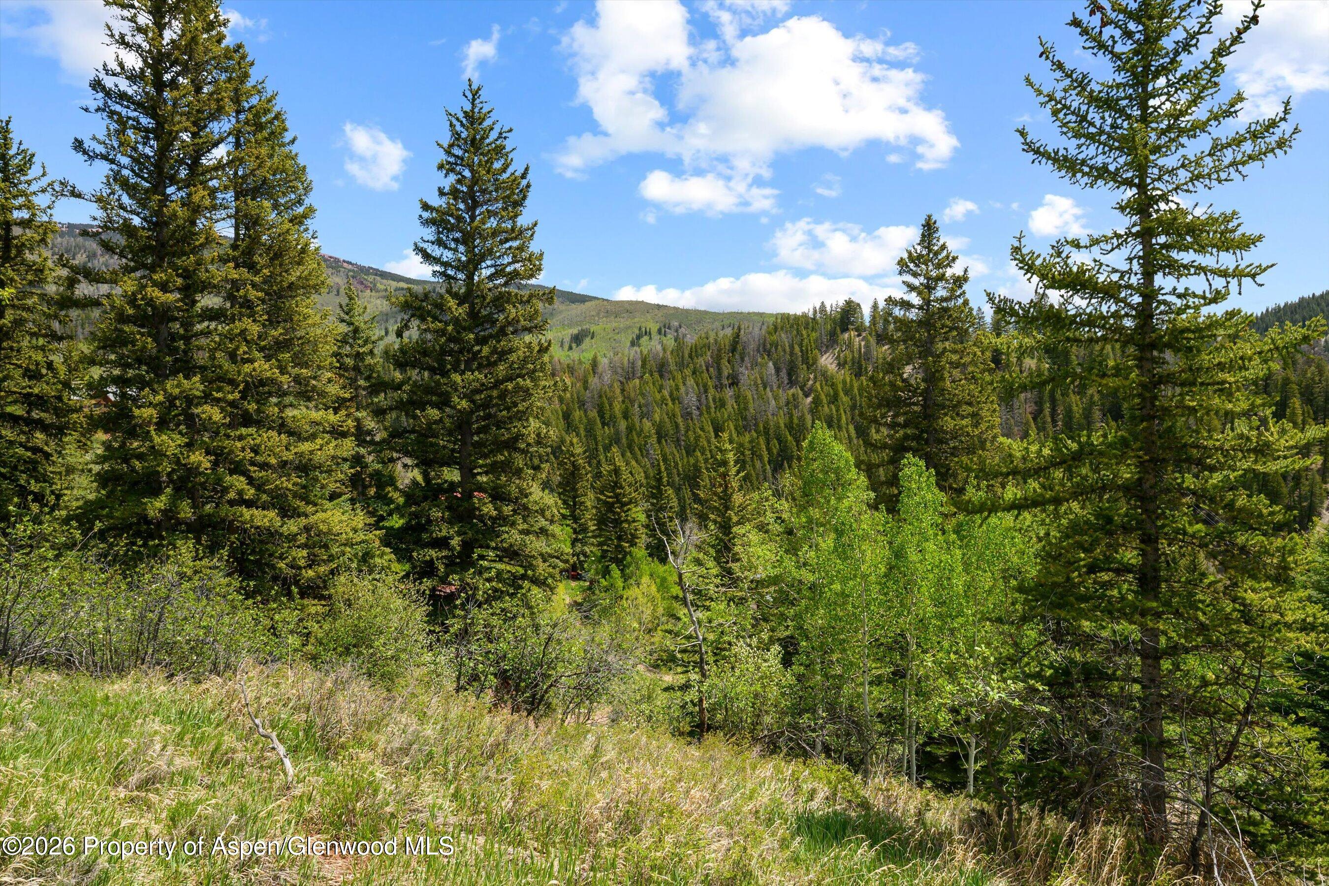 1239 Mclaughlin Lane Basalt CO 81621
