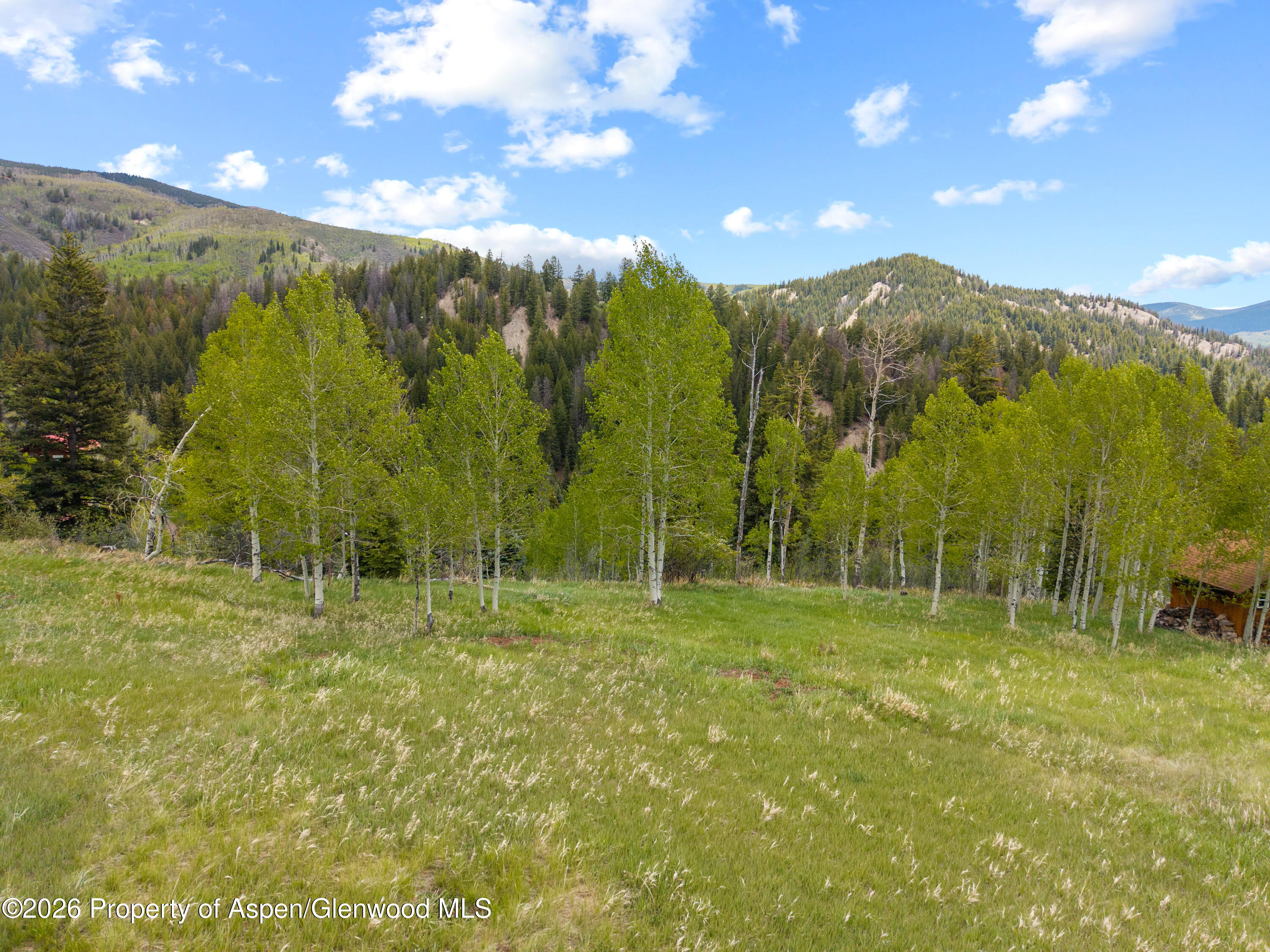 1239 Mclaughlin Lane Basalt CO 81621
