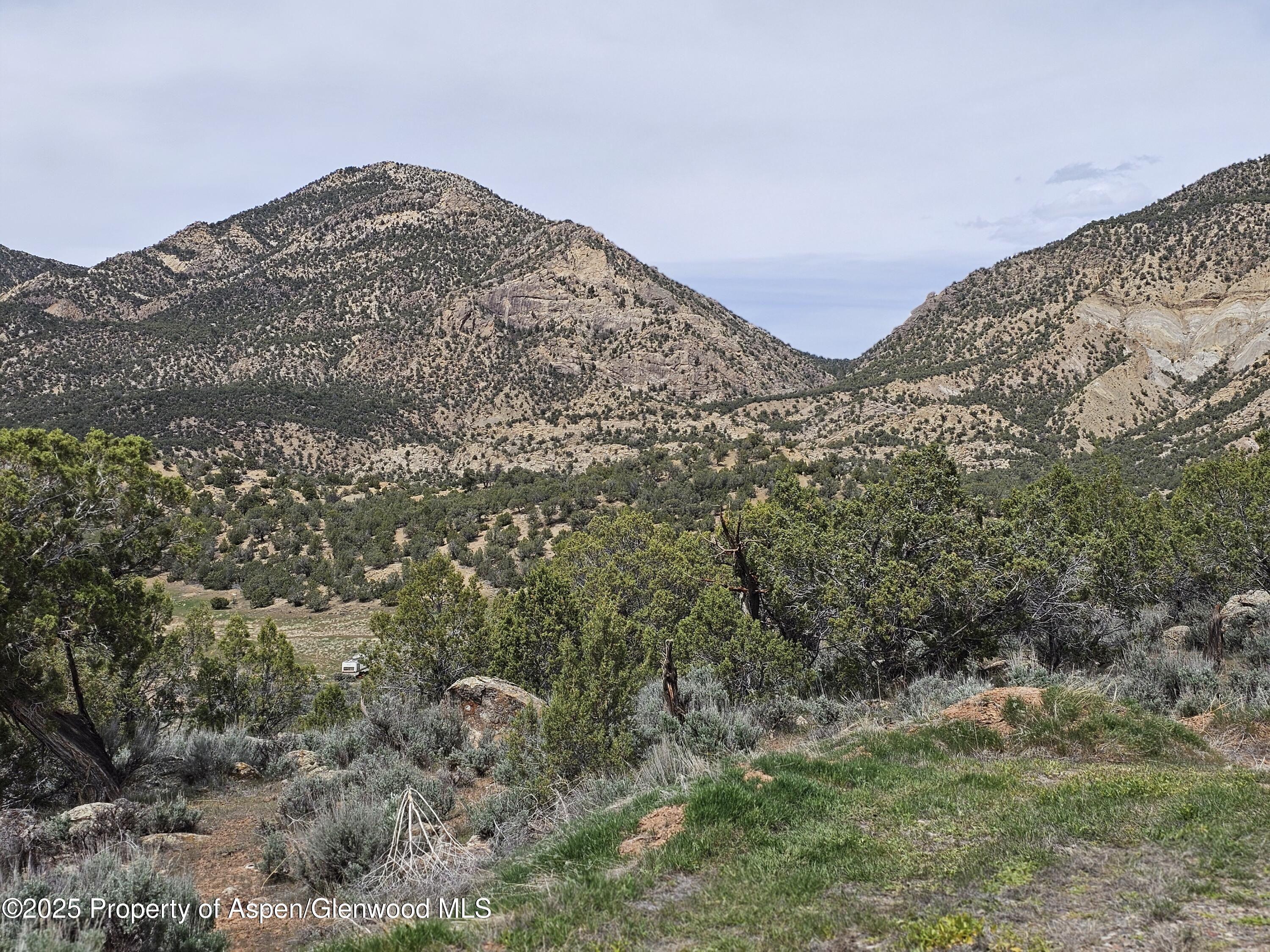 611 Scutter Lane Rifle CO 81650