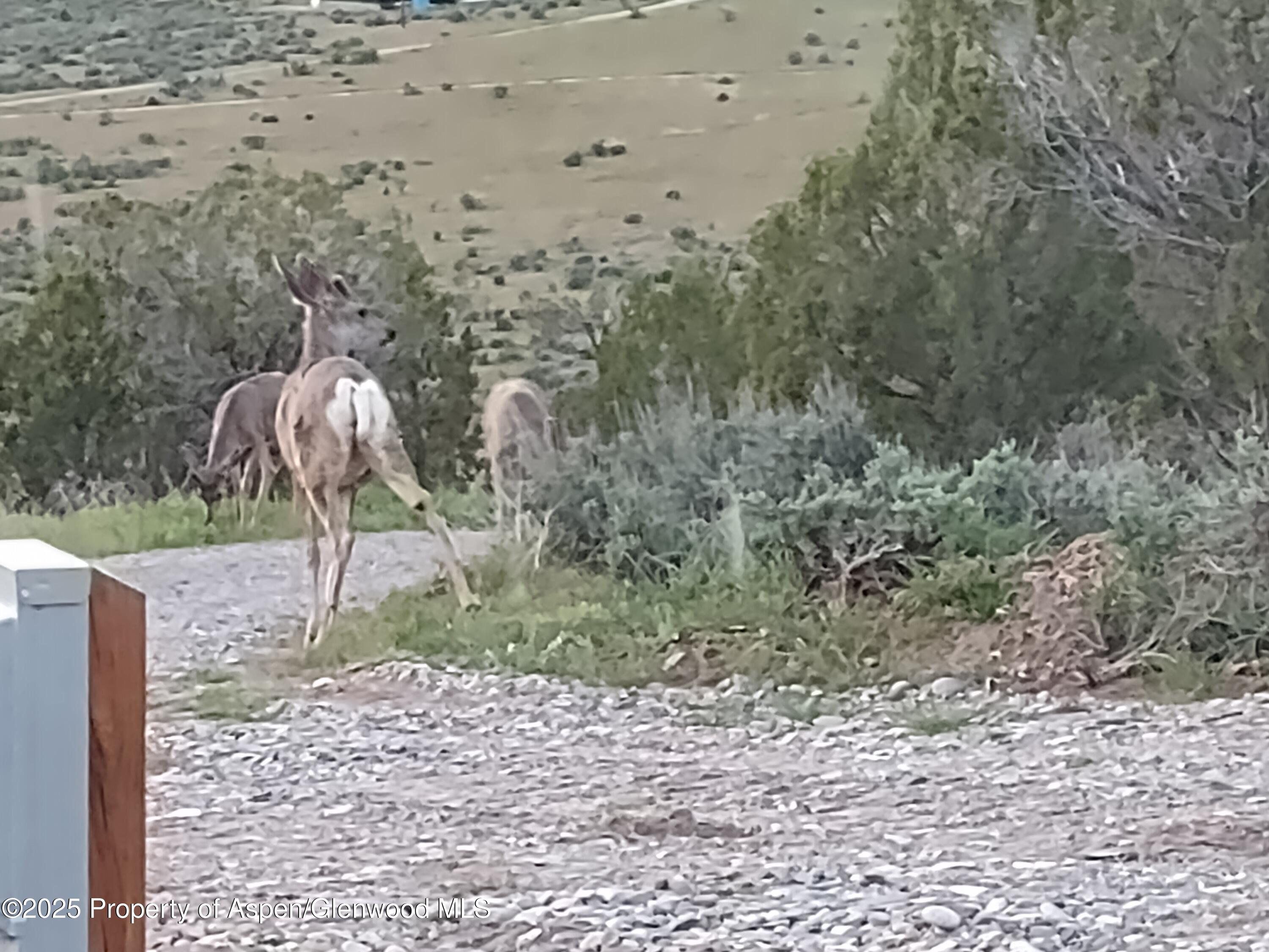 611 Scutter Lane Rifle CO 81650