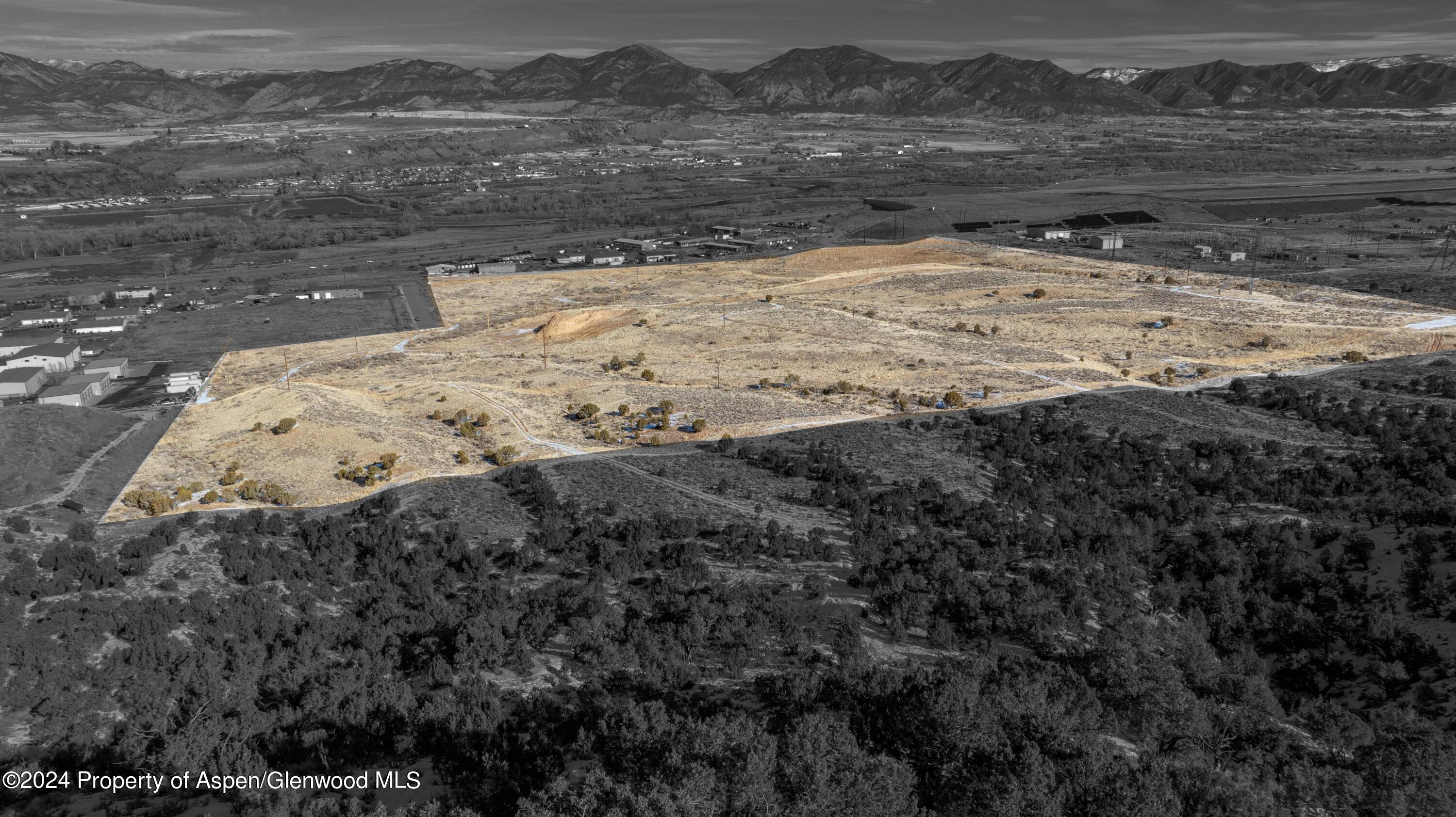 Tbd Blacktail Drive Rifle CO 81650