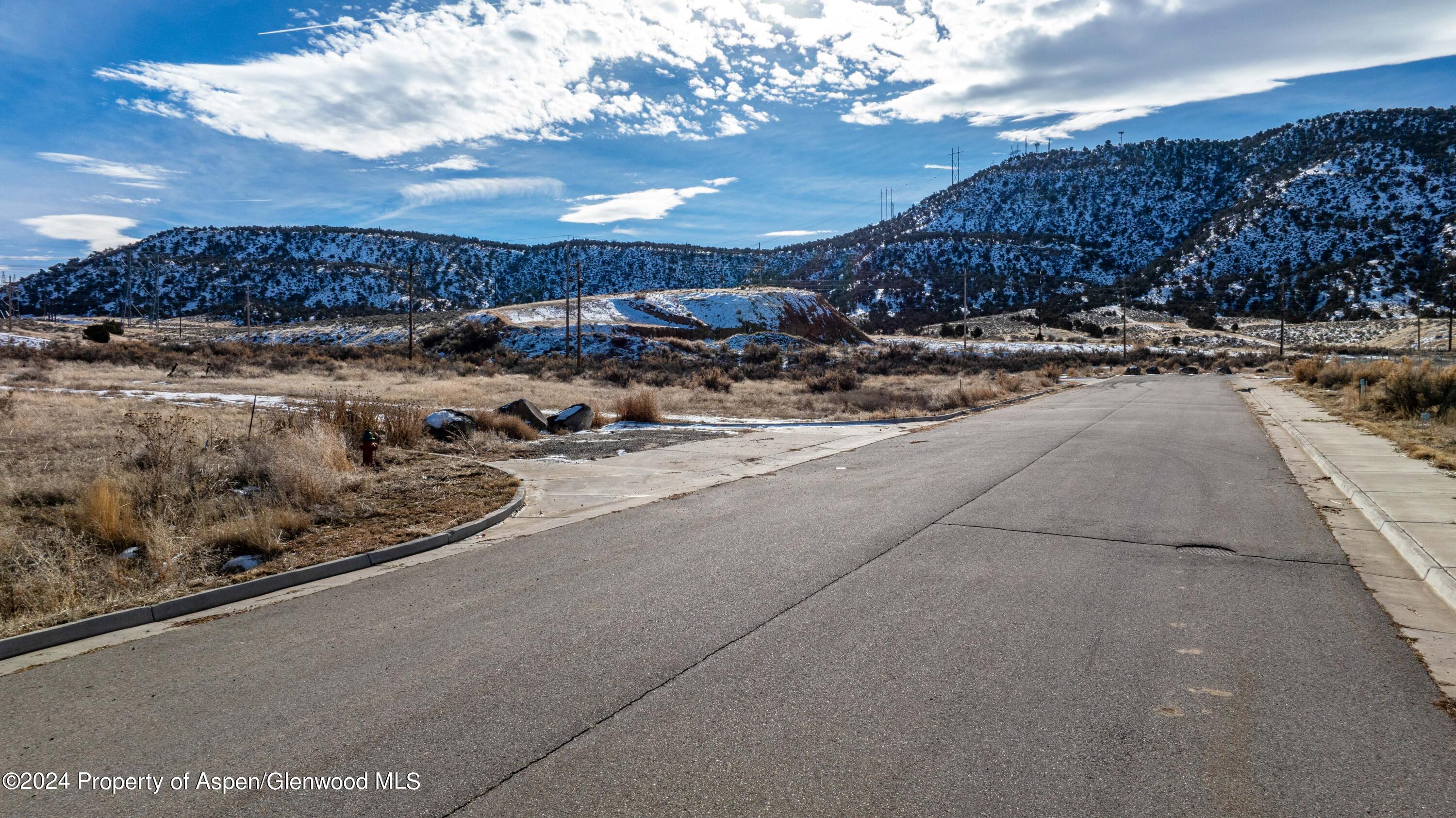 Tbd Blacktail Drive Rifle CO 81650