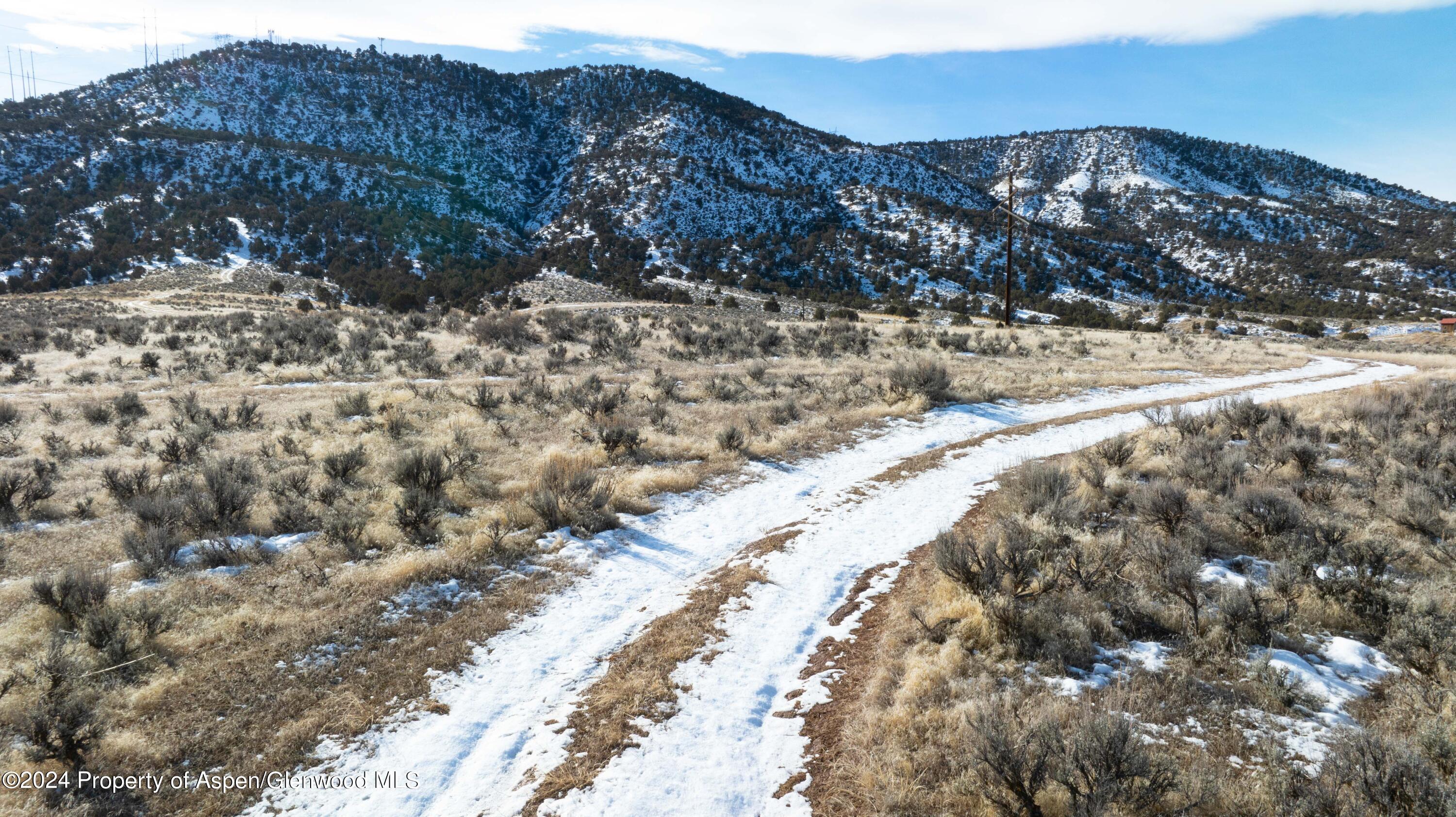 Tbd Blacktail Drive Rifle CO 81650