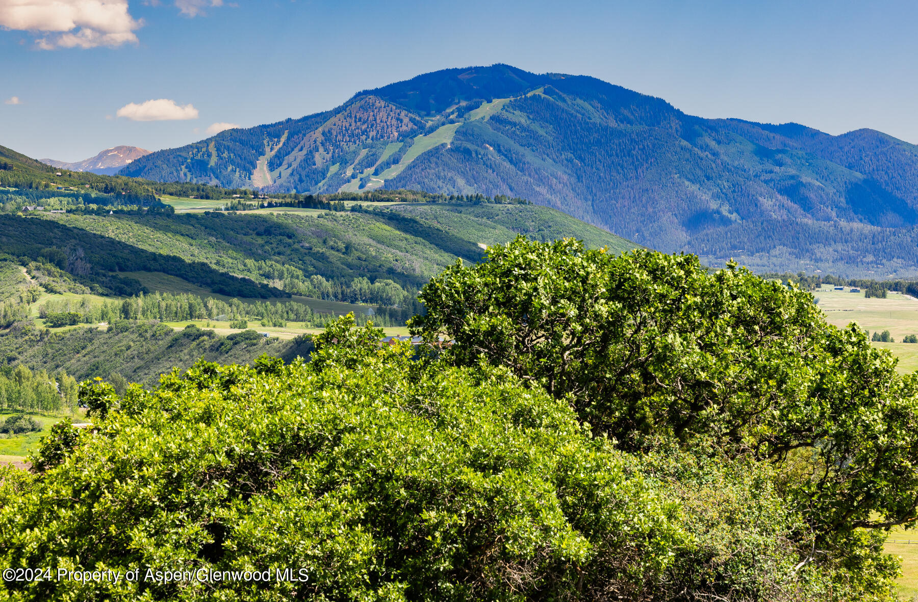 664 Chaparral Drive Woody Creek CO 81656