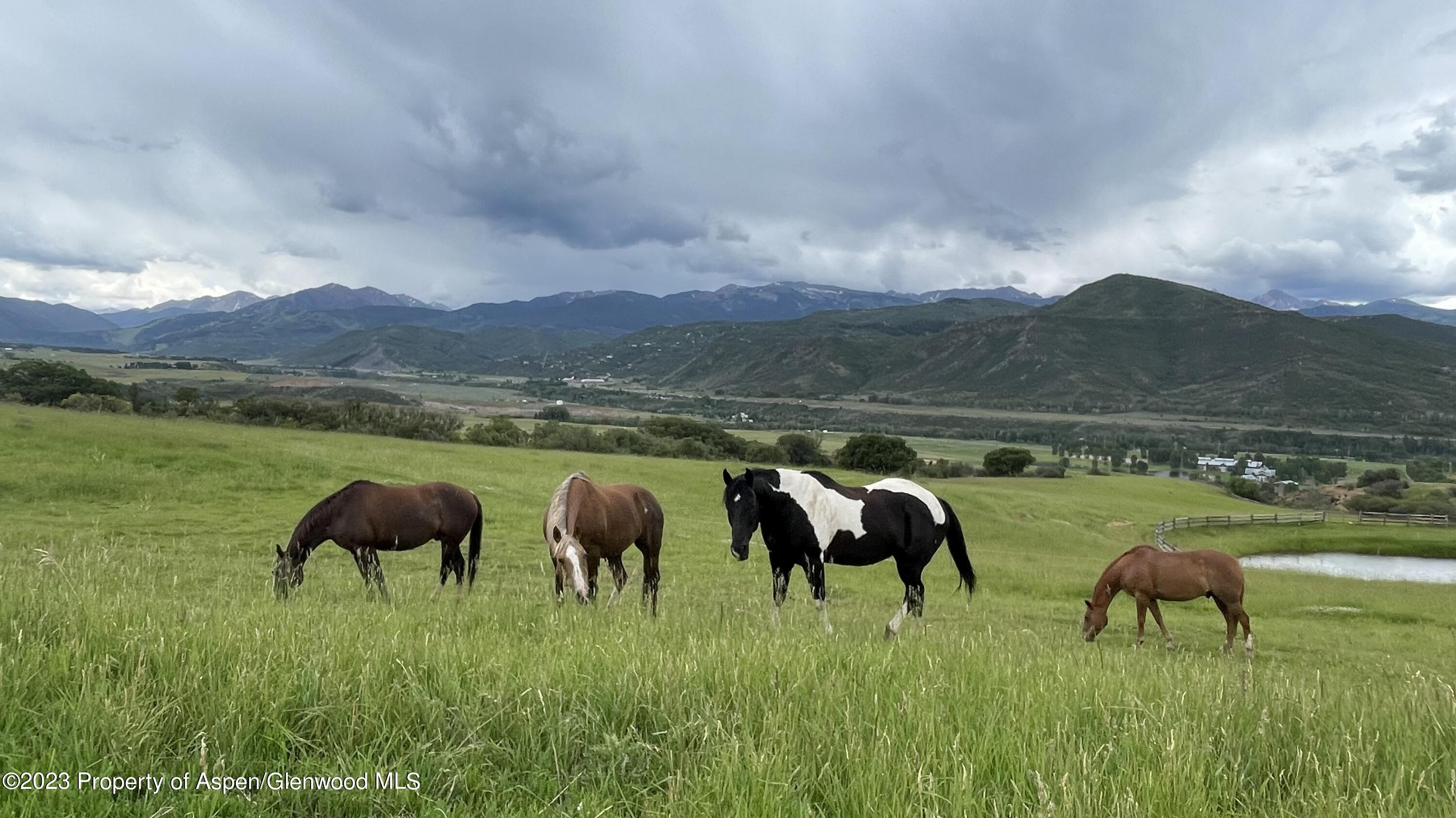 664 Chaparral Drive Woody Creek CO 81656