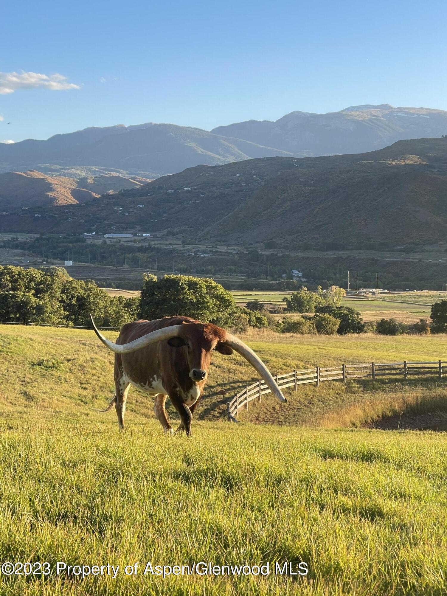 664 Chaparral Drive Woody Creek CO 81656