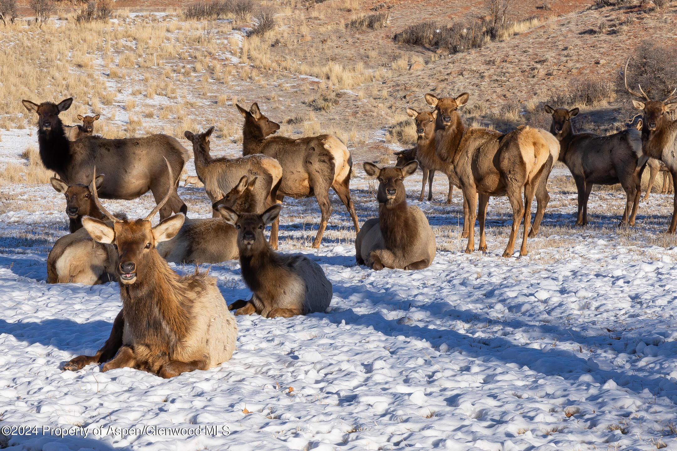 664 Chaparral Drive Woody Creek CO 81656