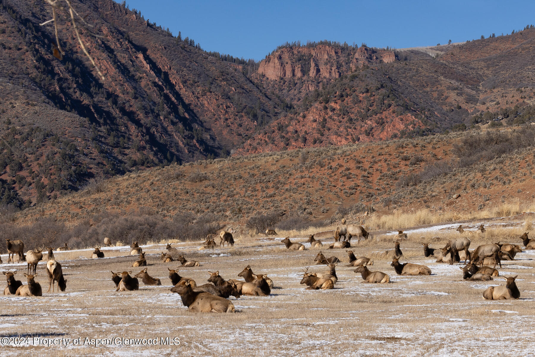 664 Chaparral Drive Woody Creek CO 81656