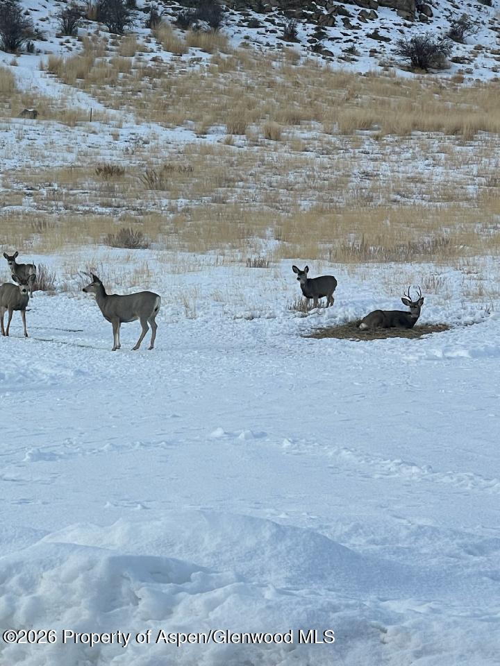 Tbd Pine Ridge Trail Craig CO 81625