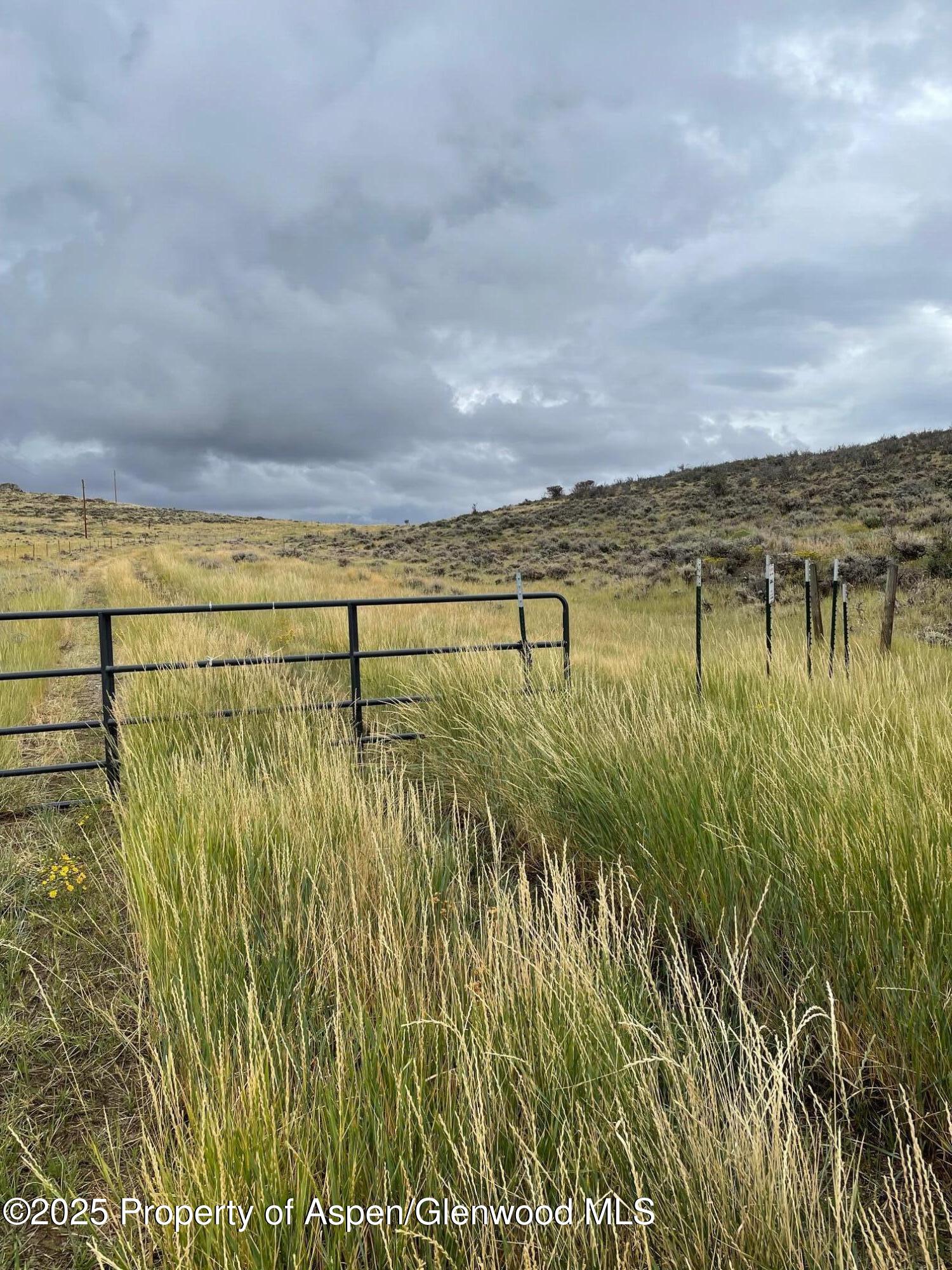 Tbd Pine Ridge Trail Craig CO 81625