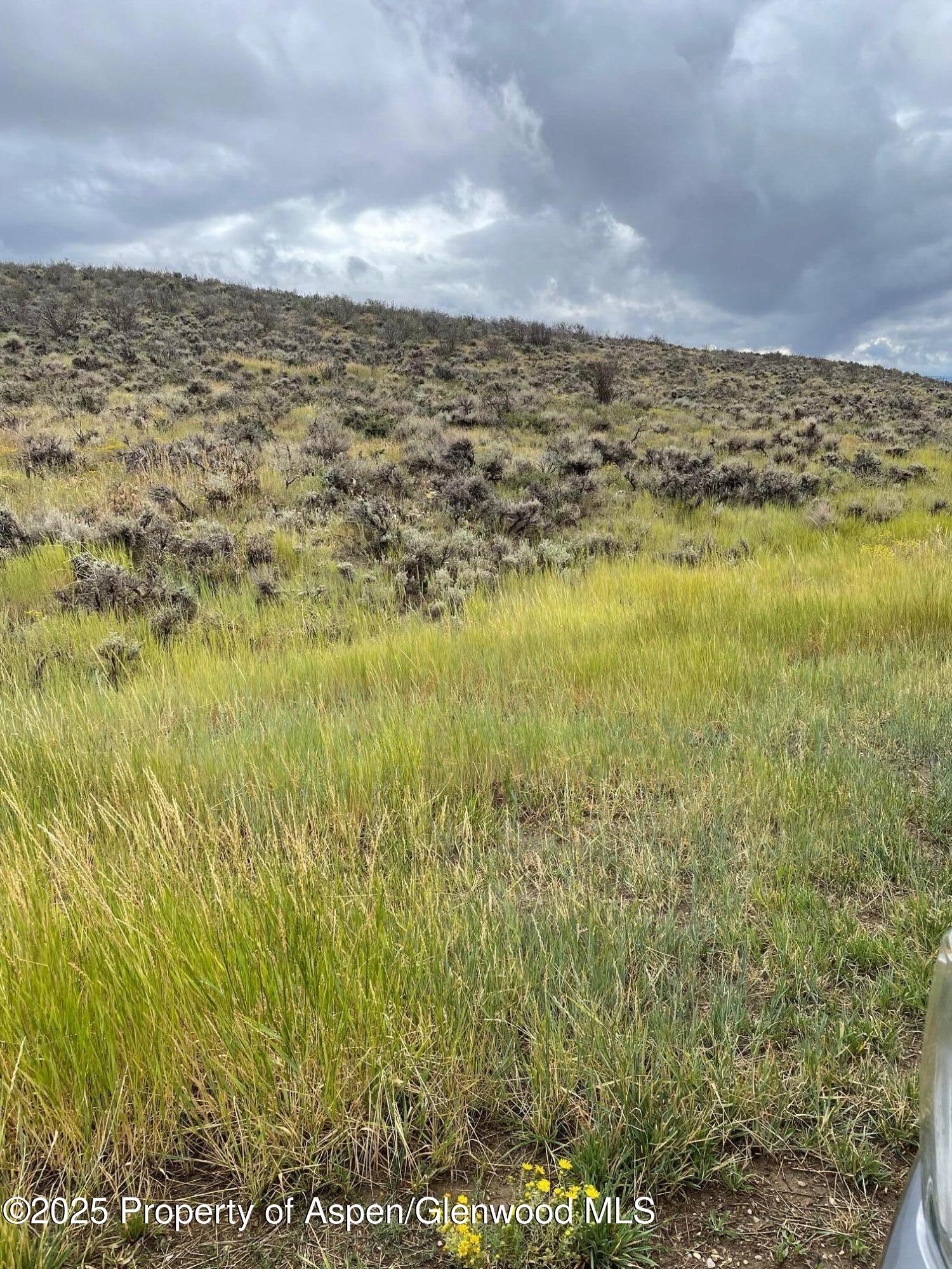 Tbd Pine Ridge Trail Craig CO 81625