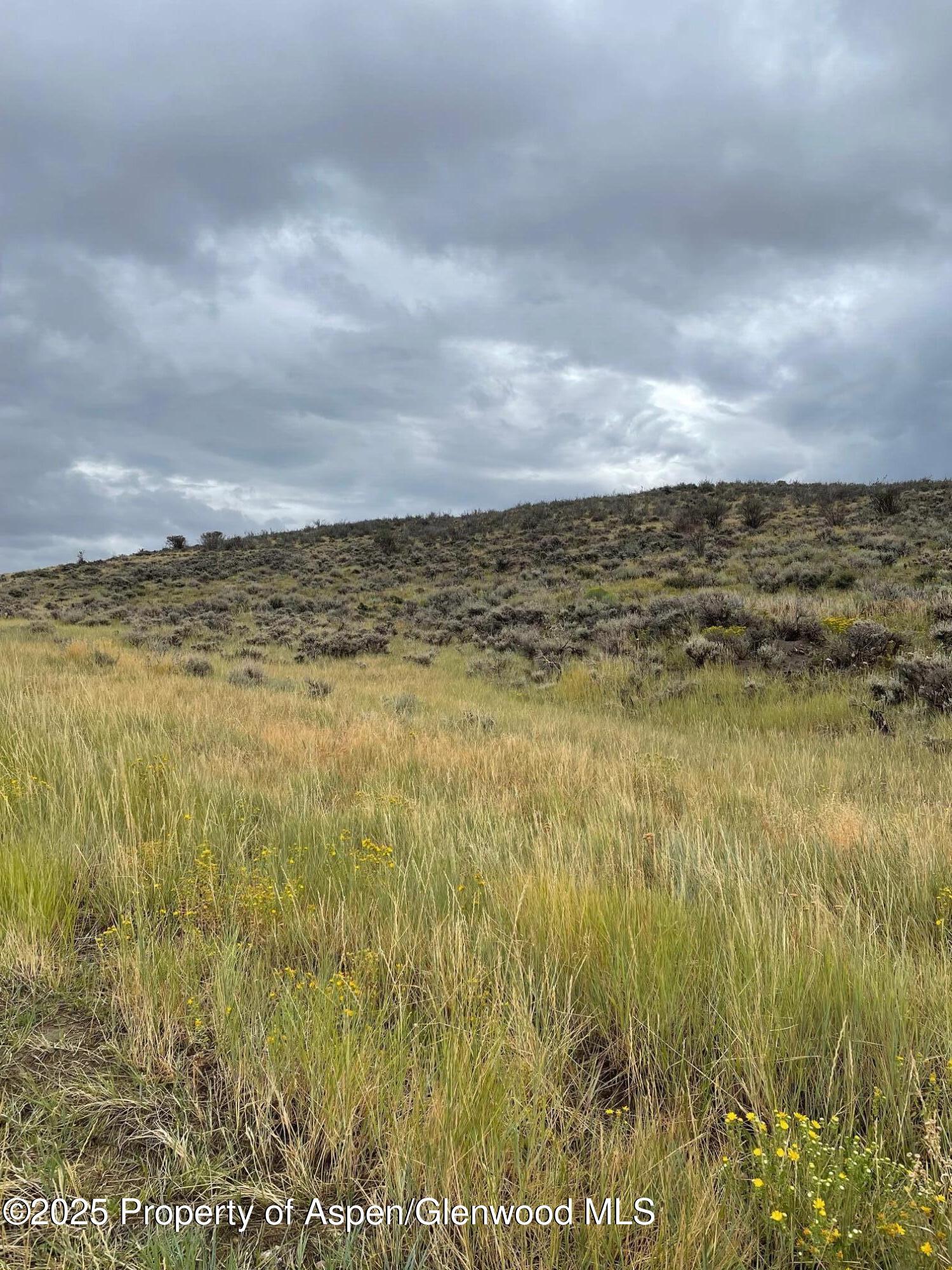 Tbd Pine Ridge Trail Craig CO 81625