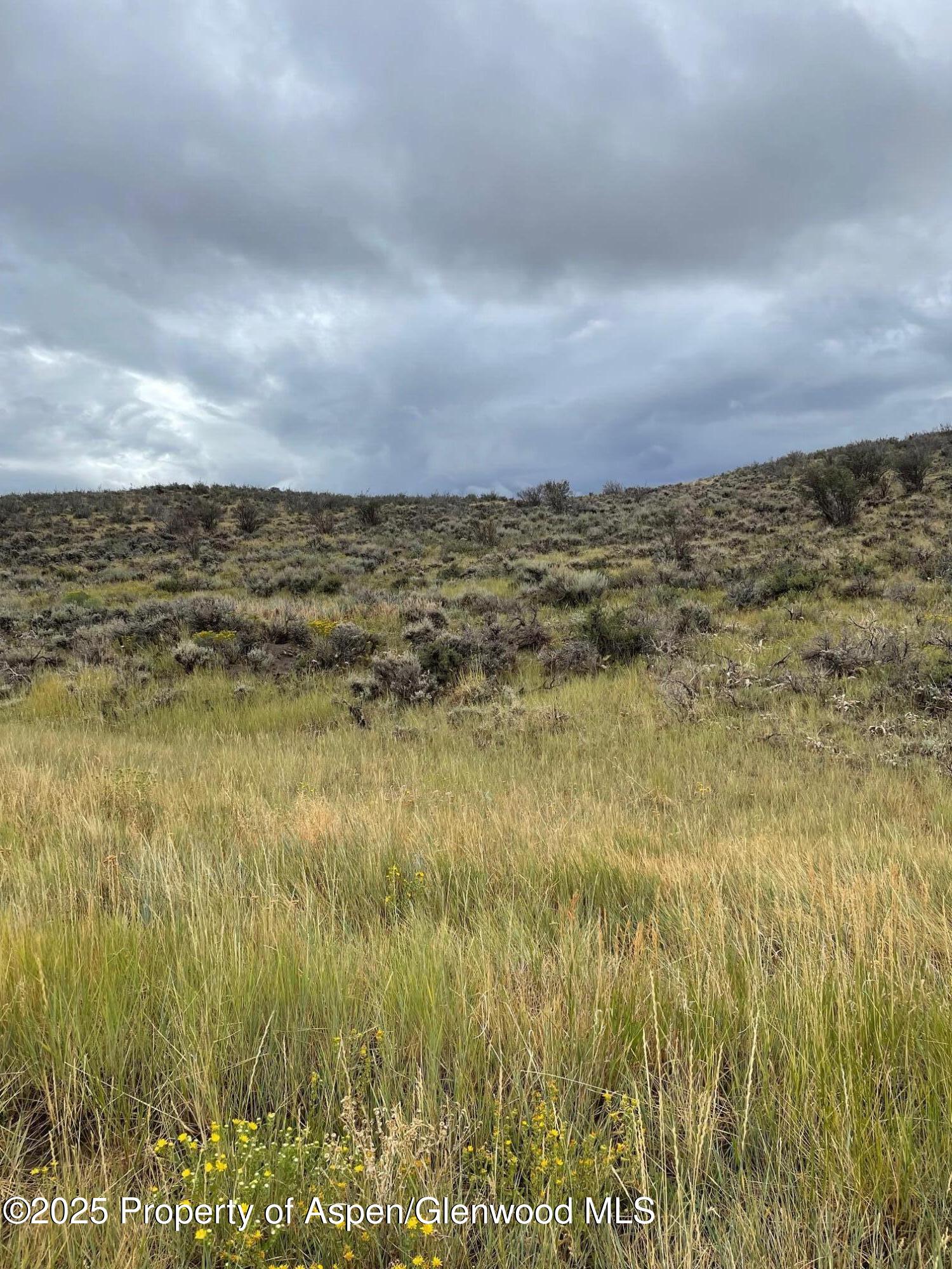 Tbd Pine Ridge Trail Craig CO 81625