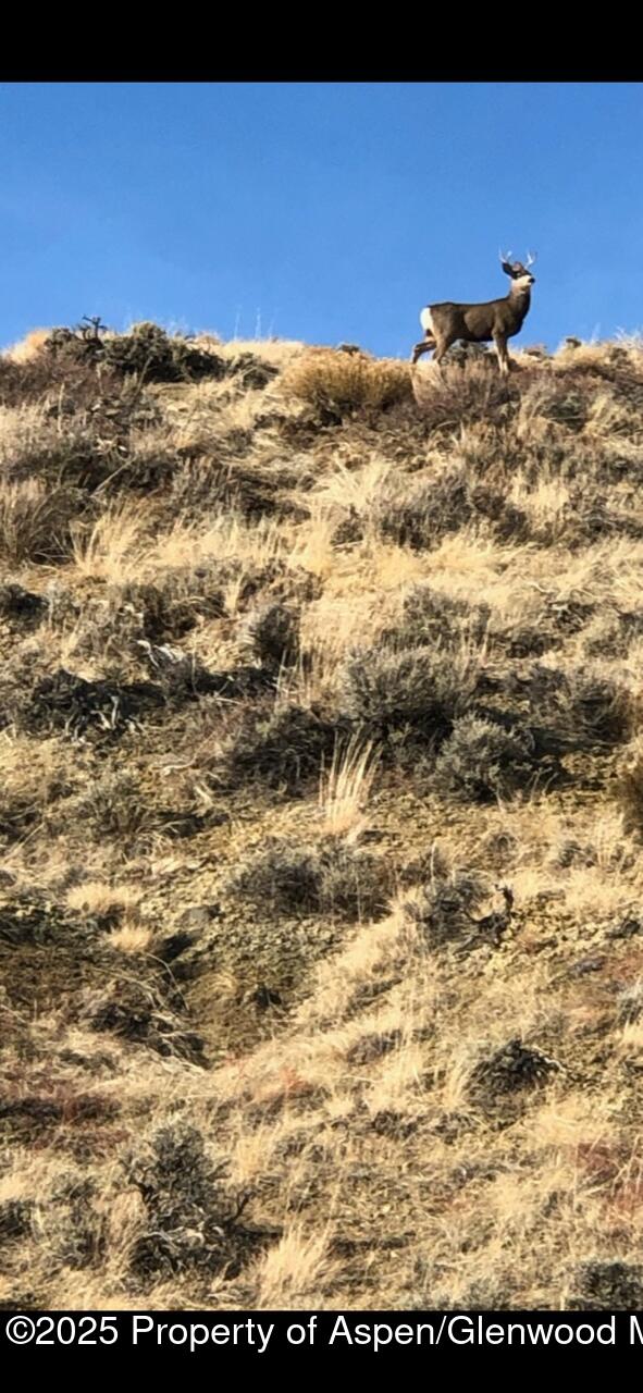 Tbd Pine Ridge Trail Craig CO 81625