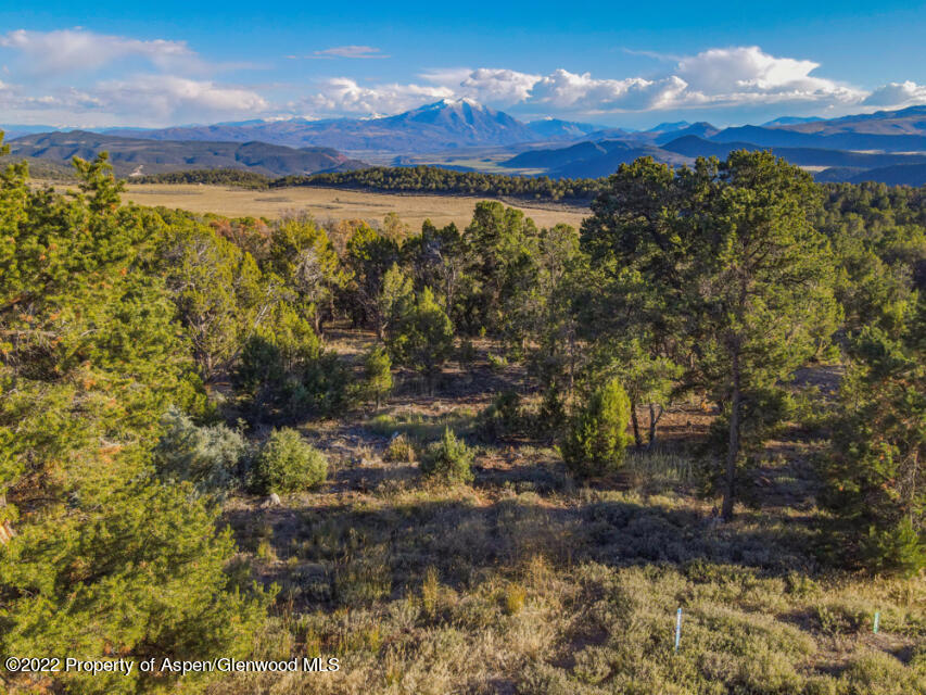 3221 Elk Springs Drive Glenwood Springs CO 81601