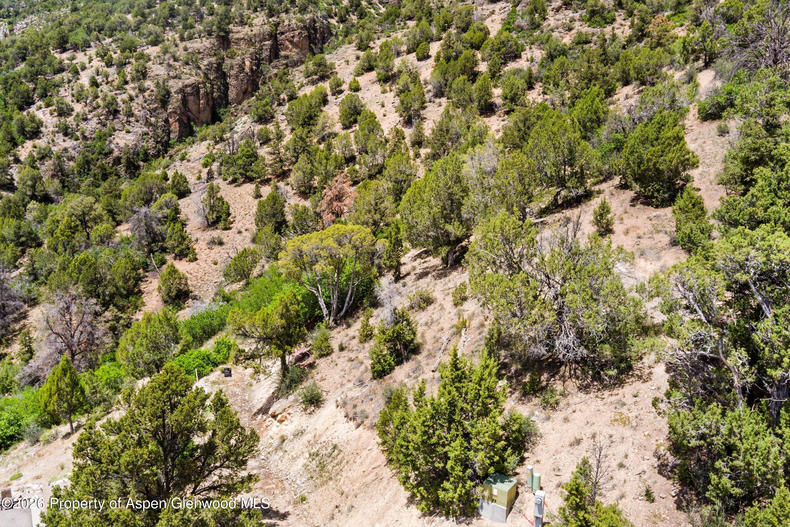 718 Silver Oak Drive Glenwood Springs CO 81601