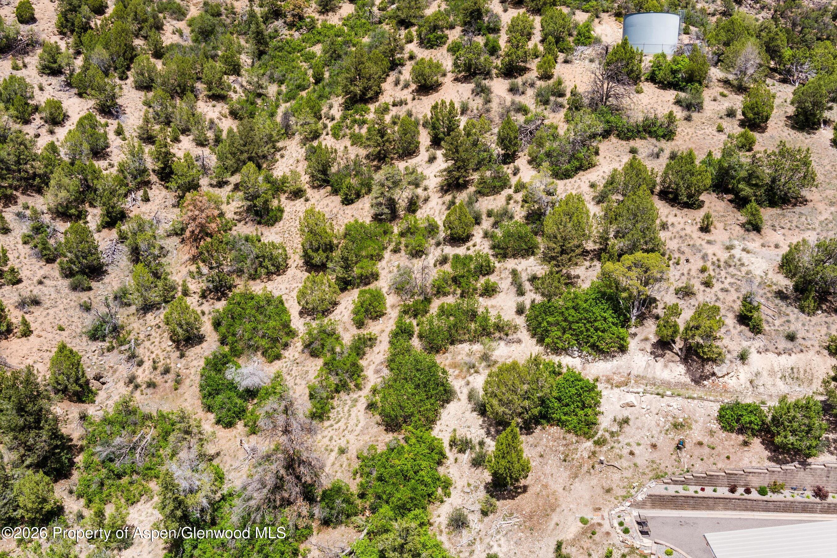 718 Silver Oak Drive Glenwood Springs CO 81601