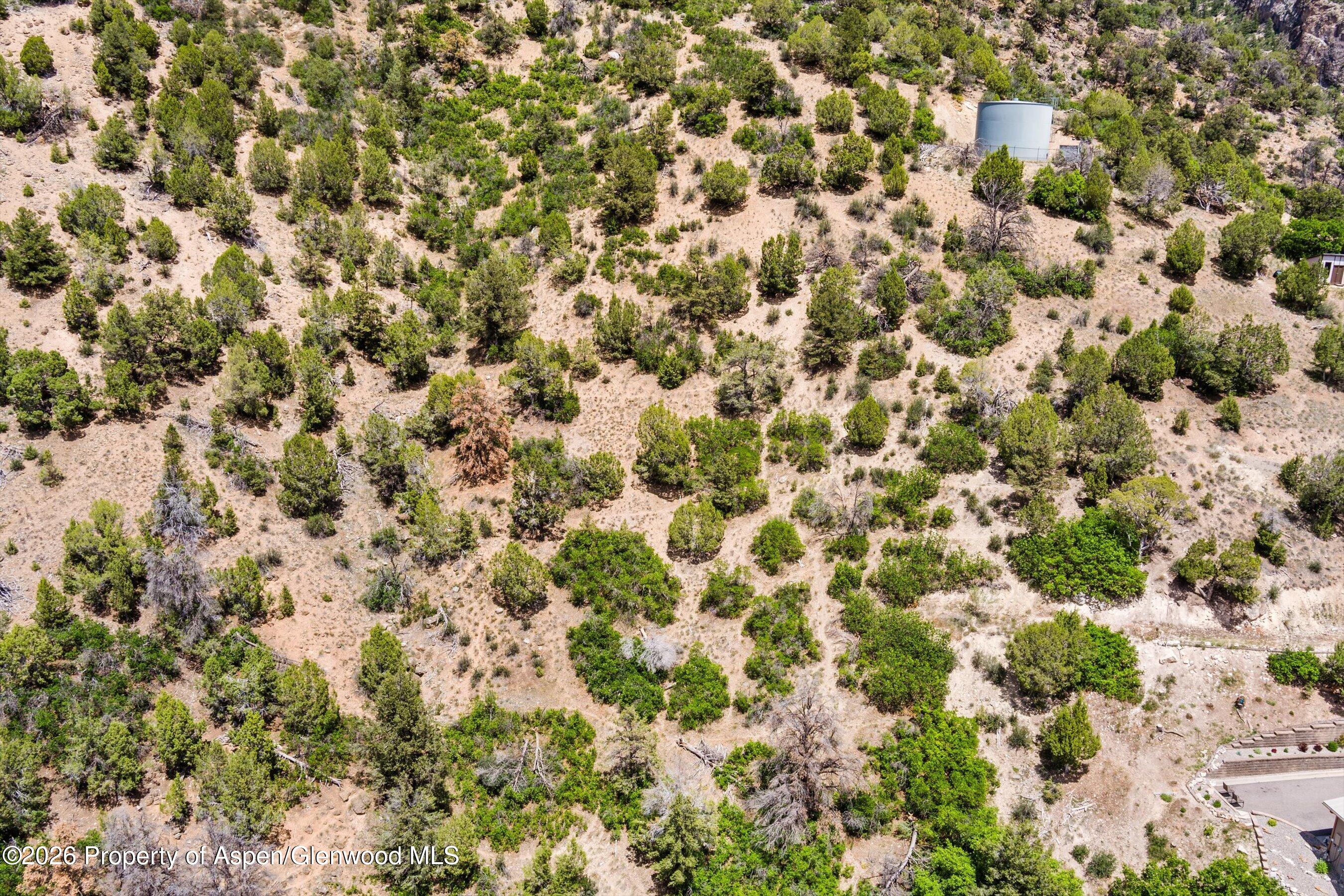 718 Silver Oak Drive Glenwood Springs CO 81601