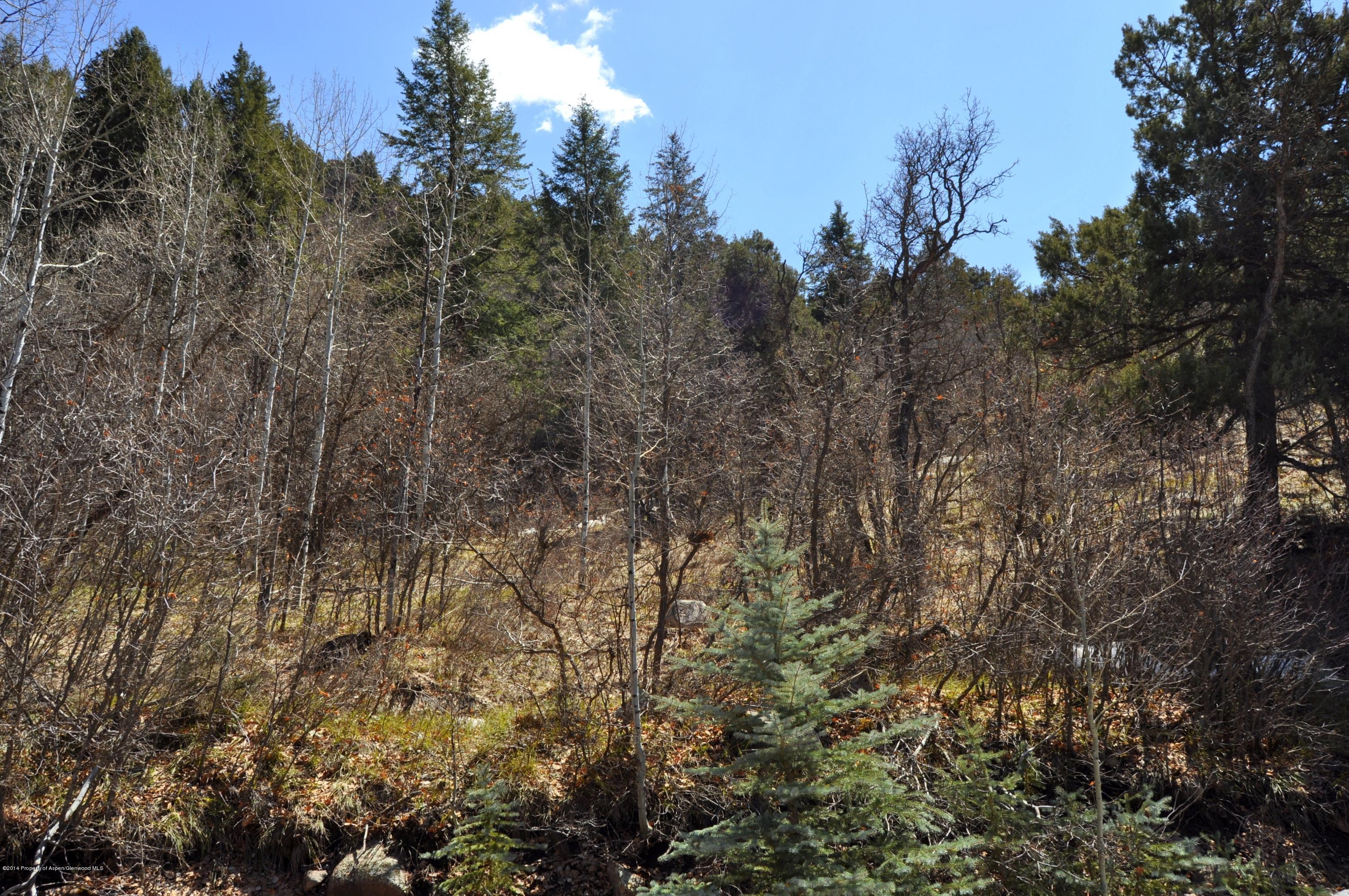 349 Crystal Circle Carbondale CO 81623