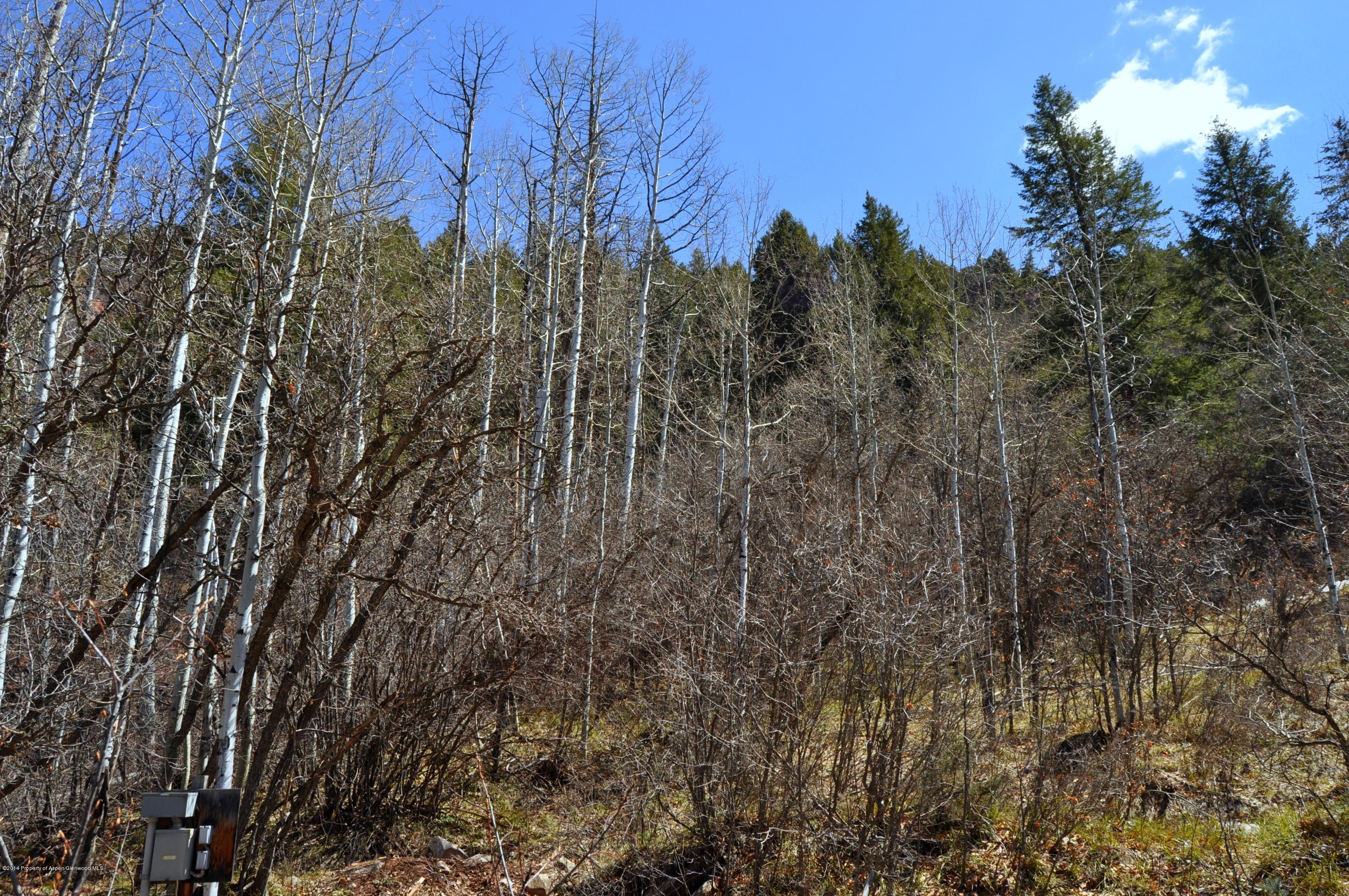349 Crystal Circle Carbondale CO 81623