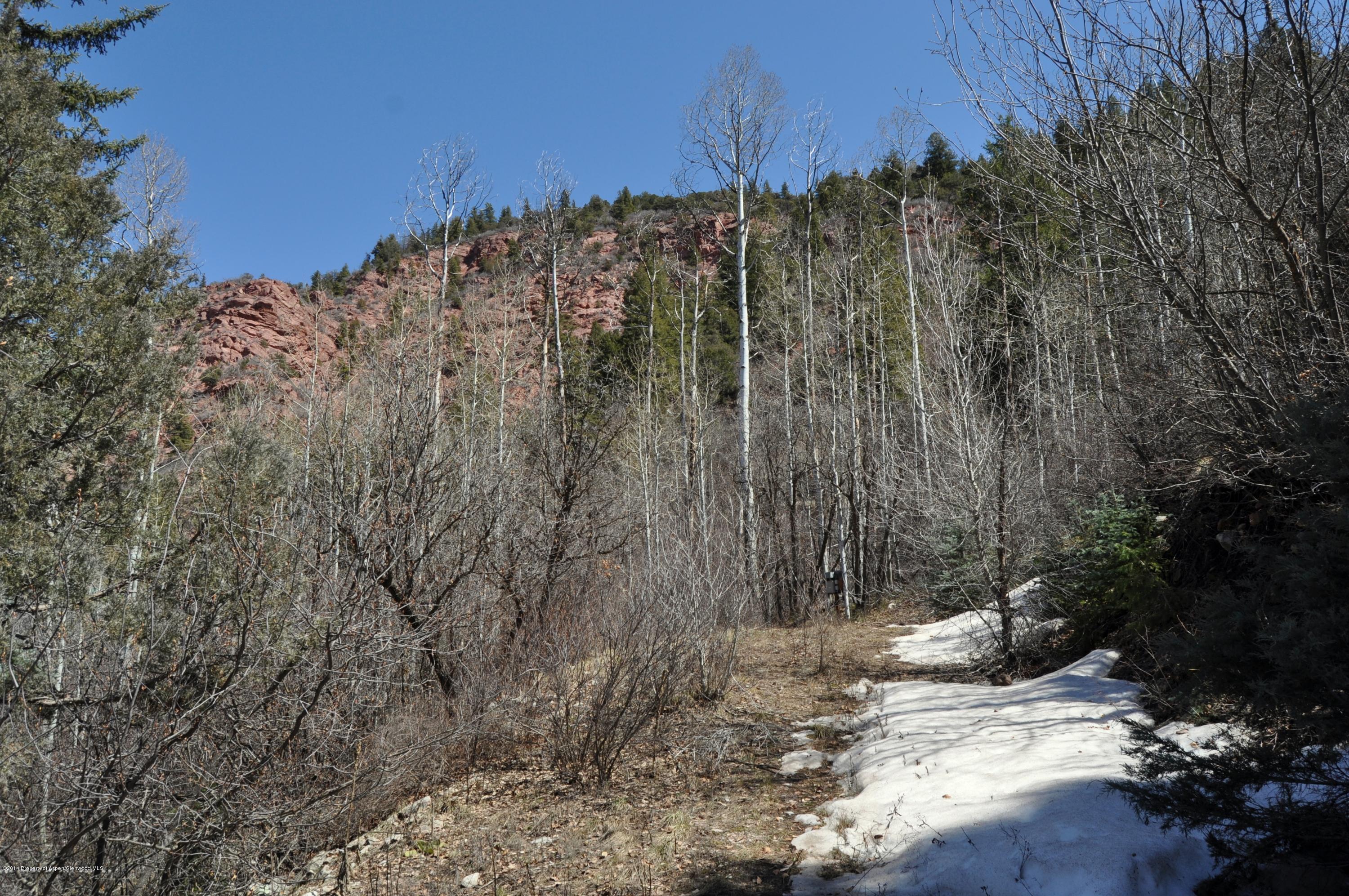 349 Crystal Circle Carbondale CO 81623