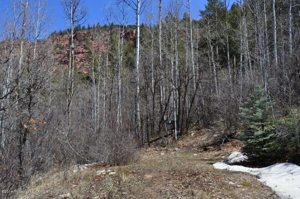 349 Crystal Circle Carbondale CO 81623