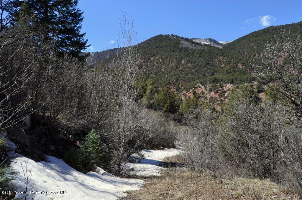 349 Crystal Circle Carbondale CO 81623