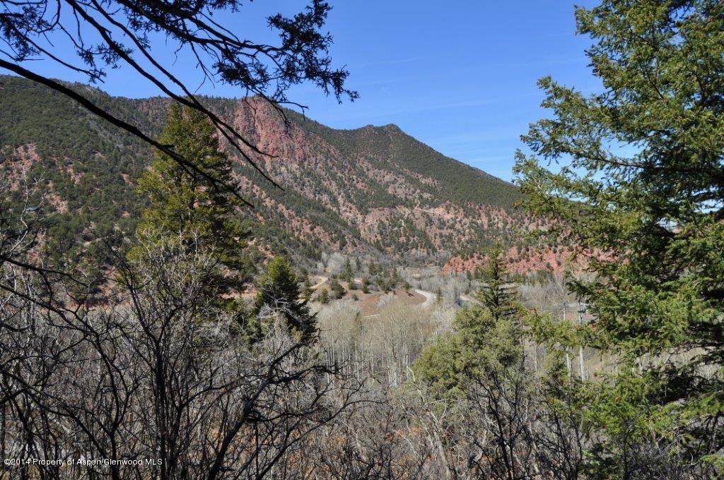 349 Crystal Circle Carbondale CO 81623