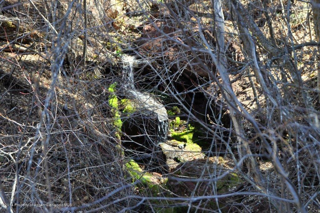 349 Crystal Circle Carbondale CO 81623