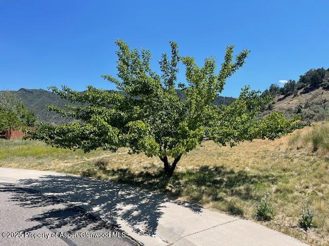 New Castle CO, 59 Mount Yale Court