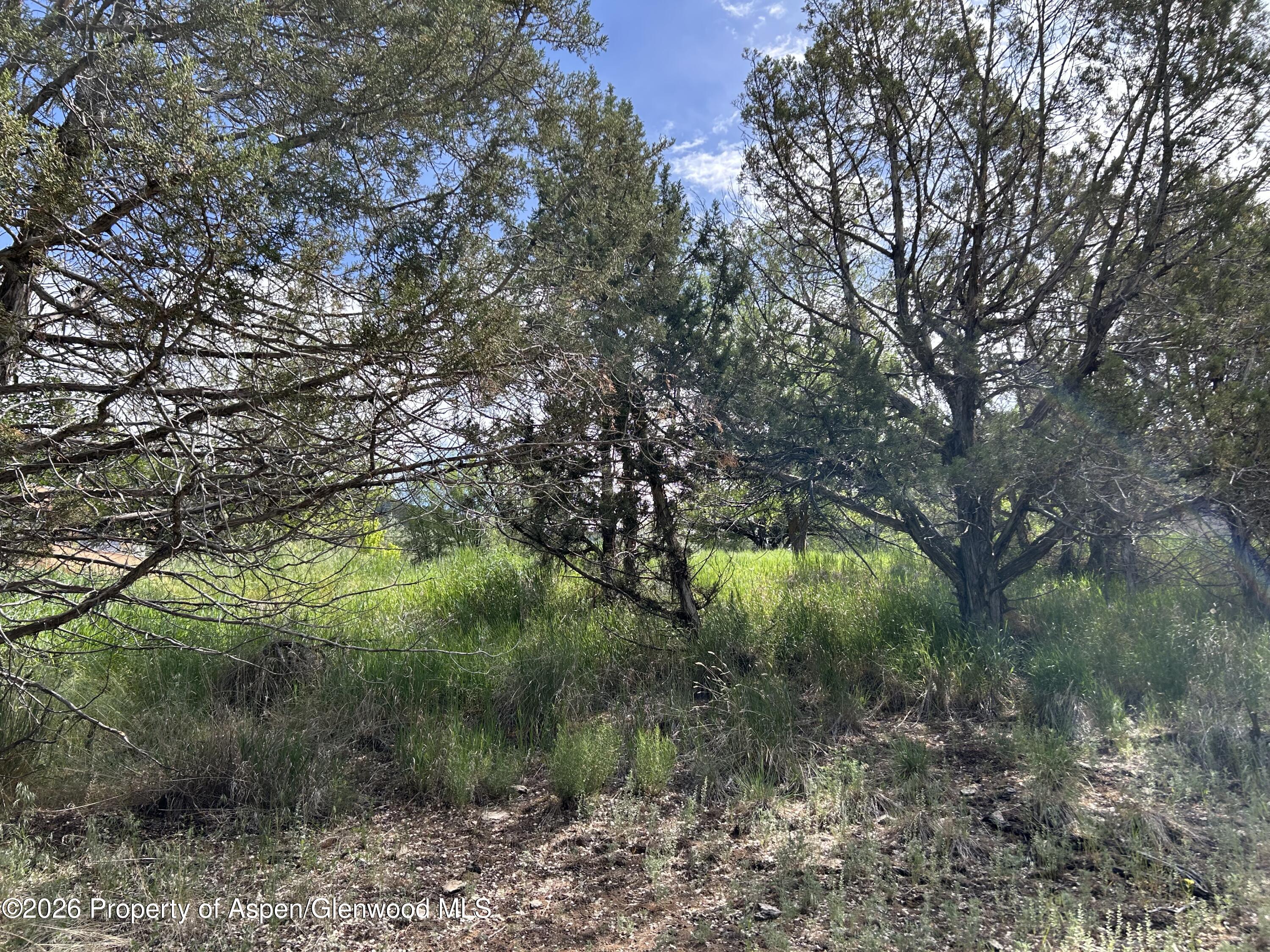 850 Greenway Drive Glenwood Springs CO 81601