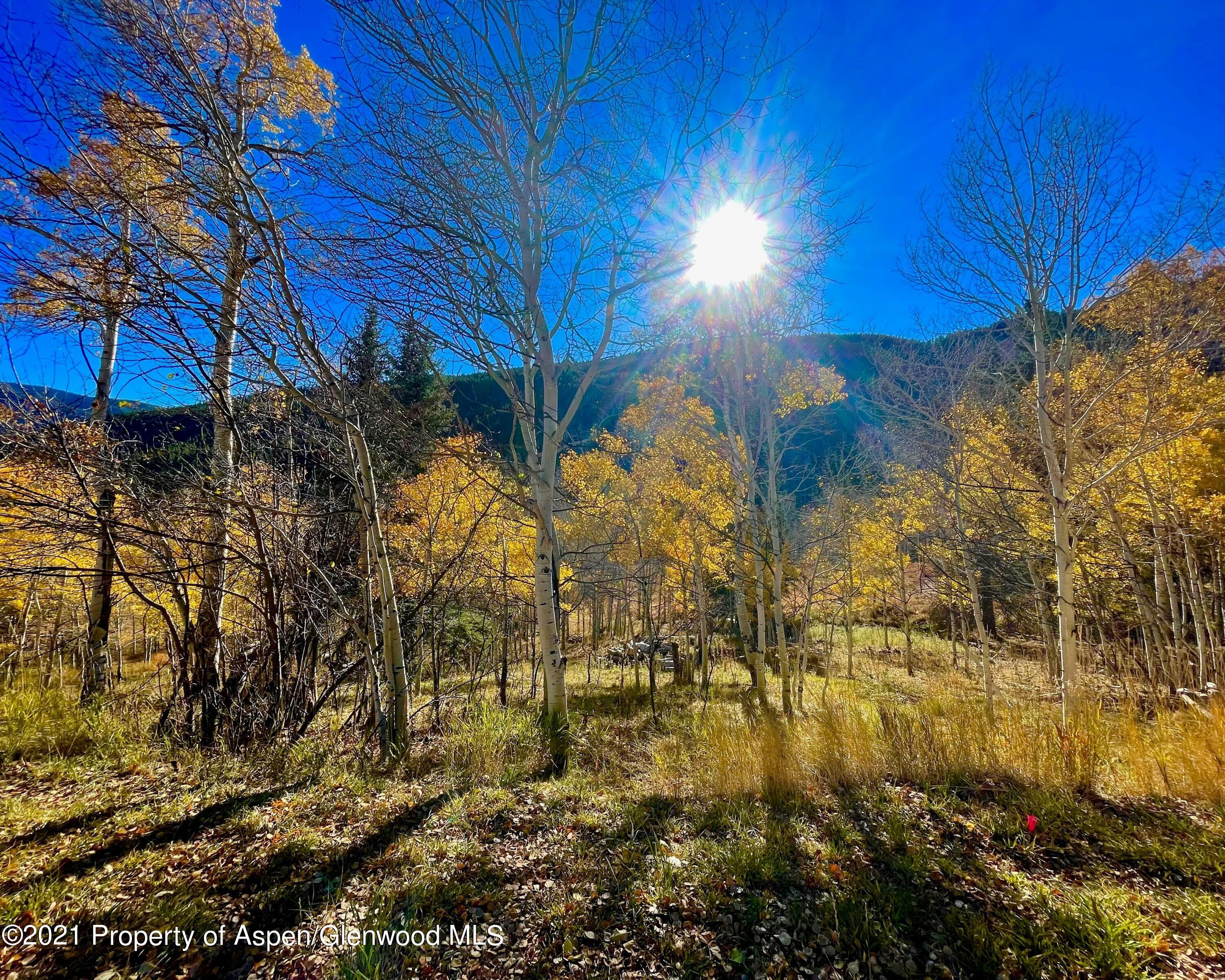 717 Mclaughlin Lane Basalt CO 81621