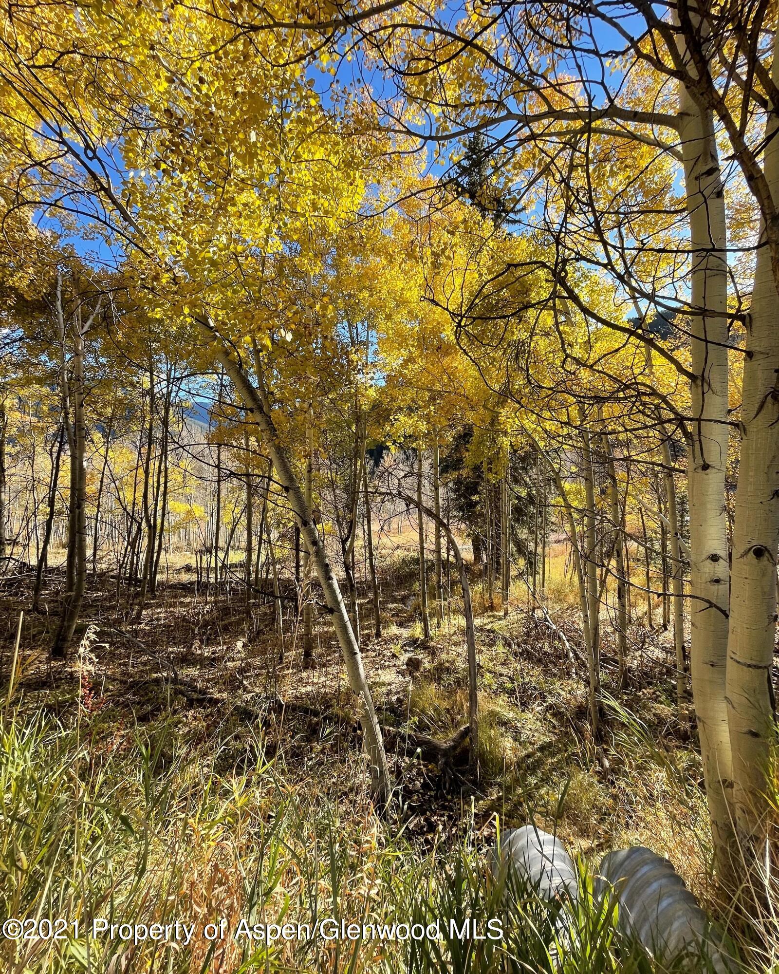 717 Mclaughlin Lane Basalt CO 81621