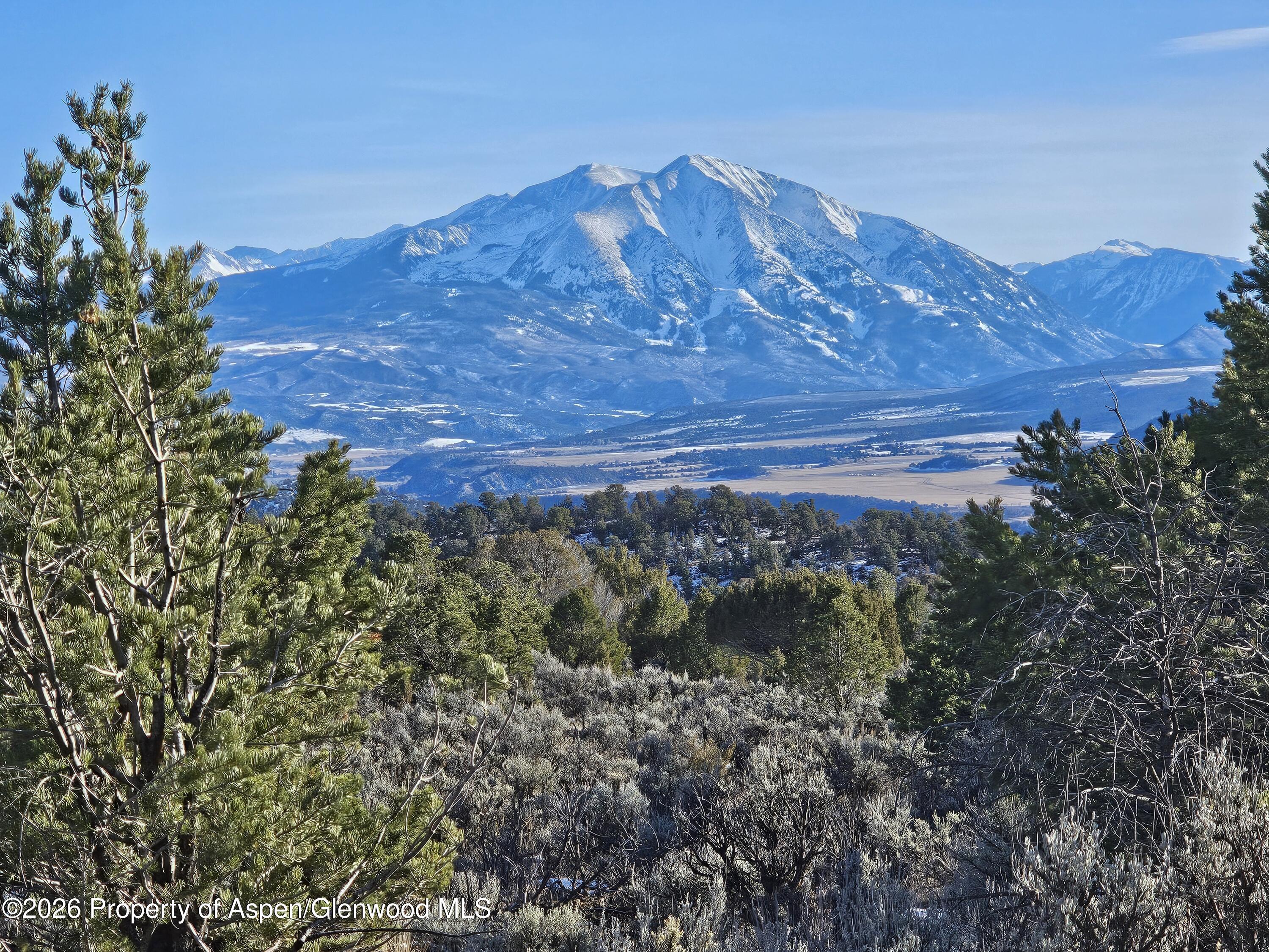 2993 Elk Springs Drive Glenwood Springs CO 81601