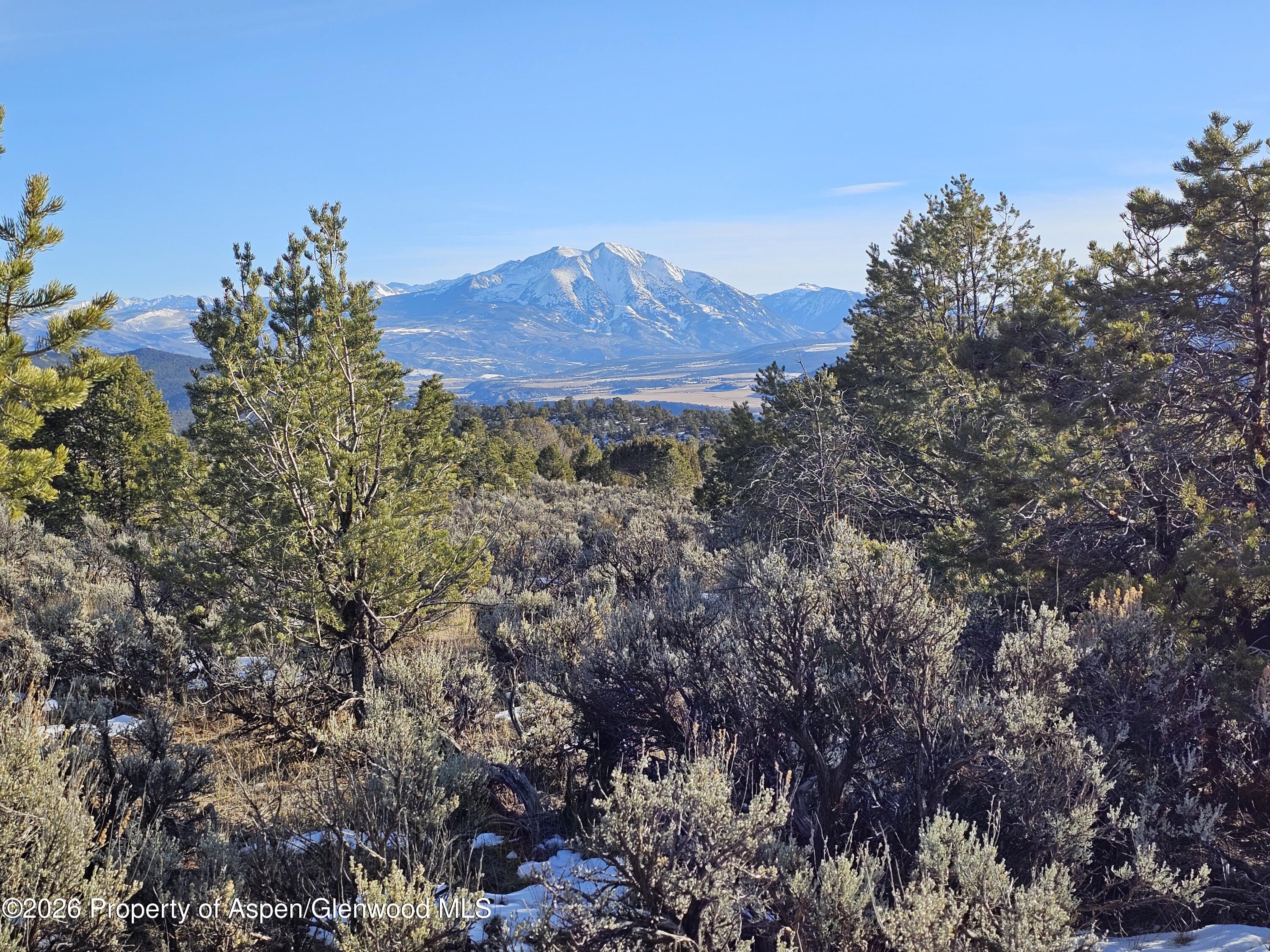 2993 Elk Springs Drive Glenwood Springs CO 81601