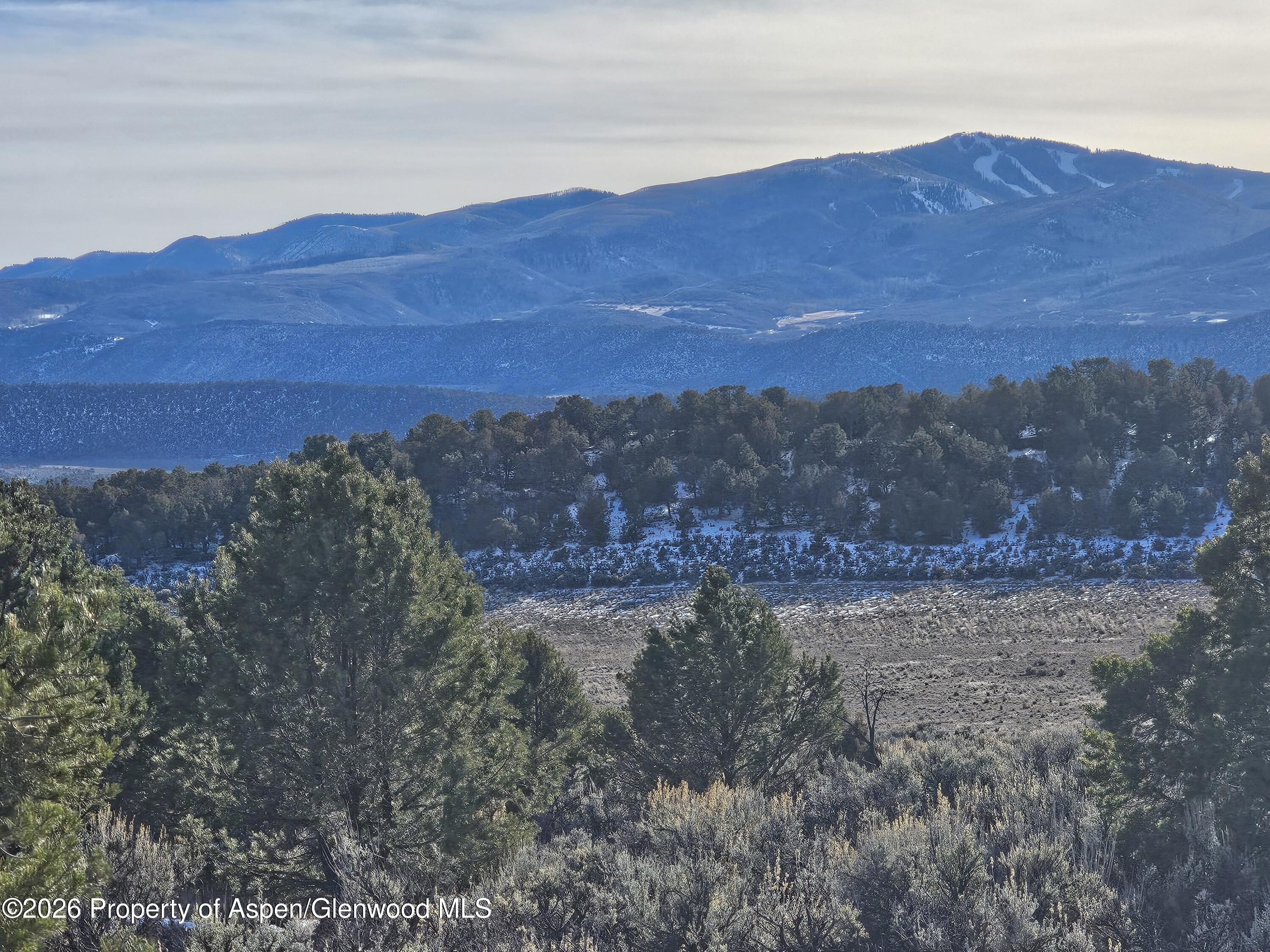 2993 Elk Springs Drive Glenwood Springs CO 81601