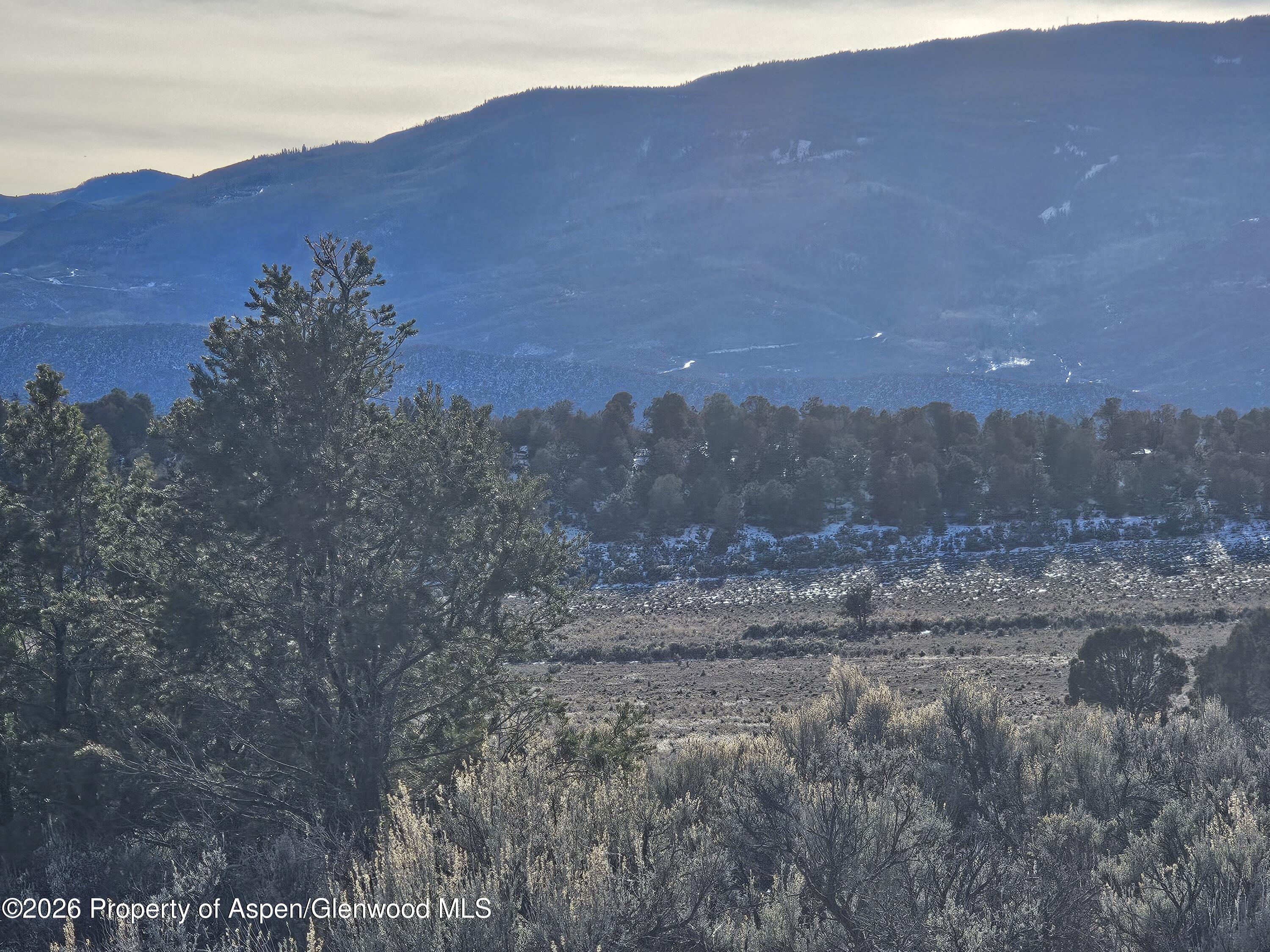 2993 Elk Springs Drive Glenwood Springs CO 81601