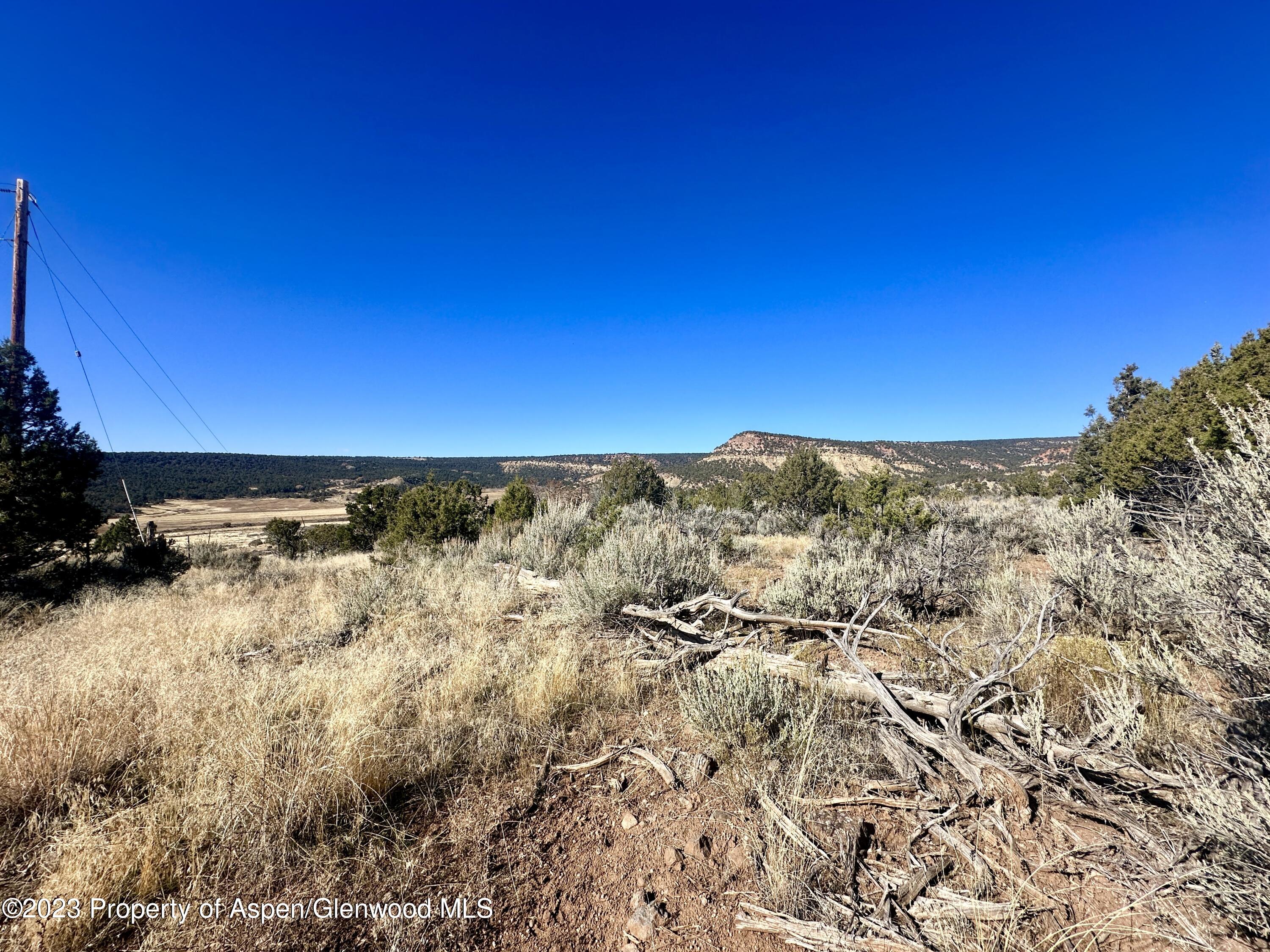 Tbd Cactus Park Road Cedaredge CO 81413