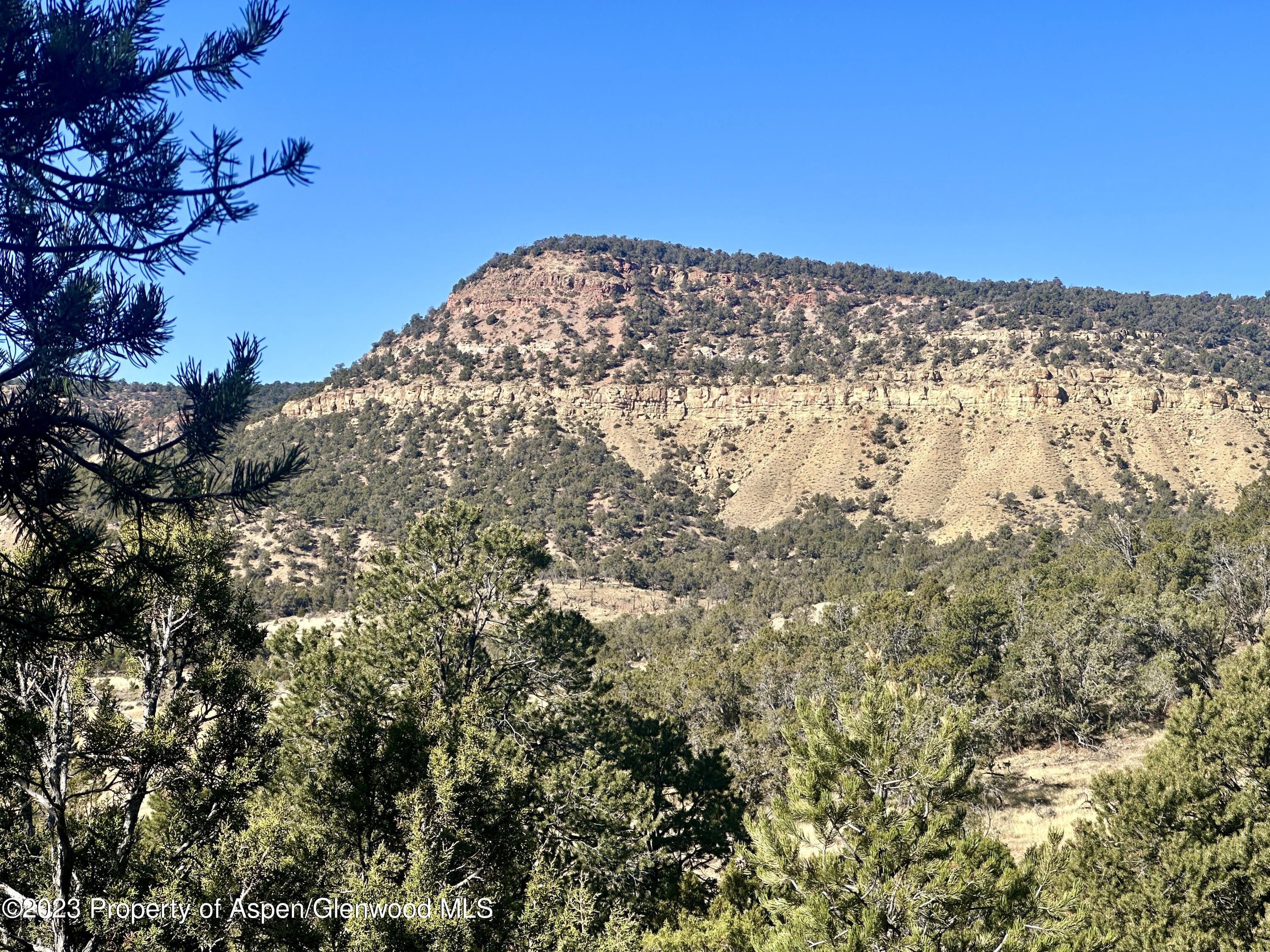 Tbd Cactus Park Road Cedaredge CO 81413
