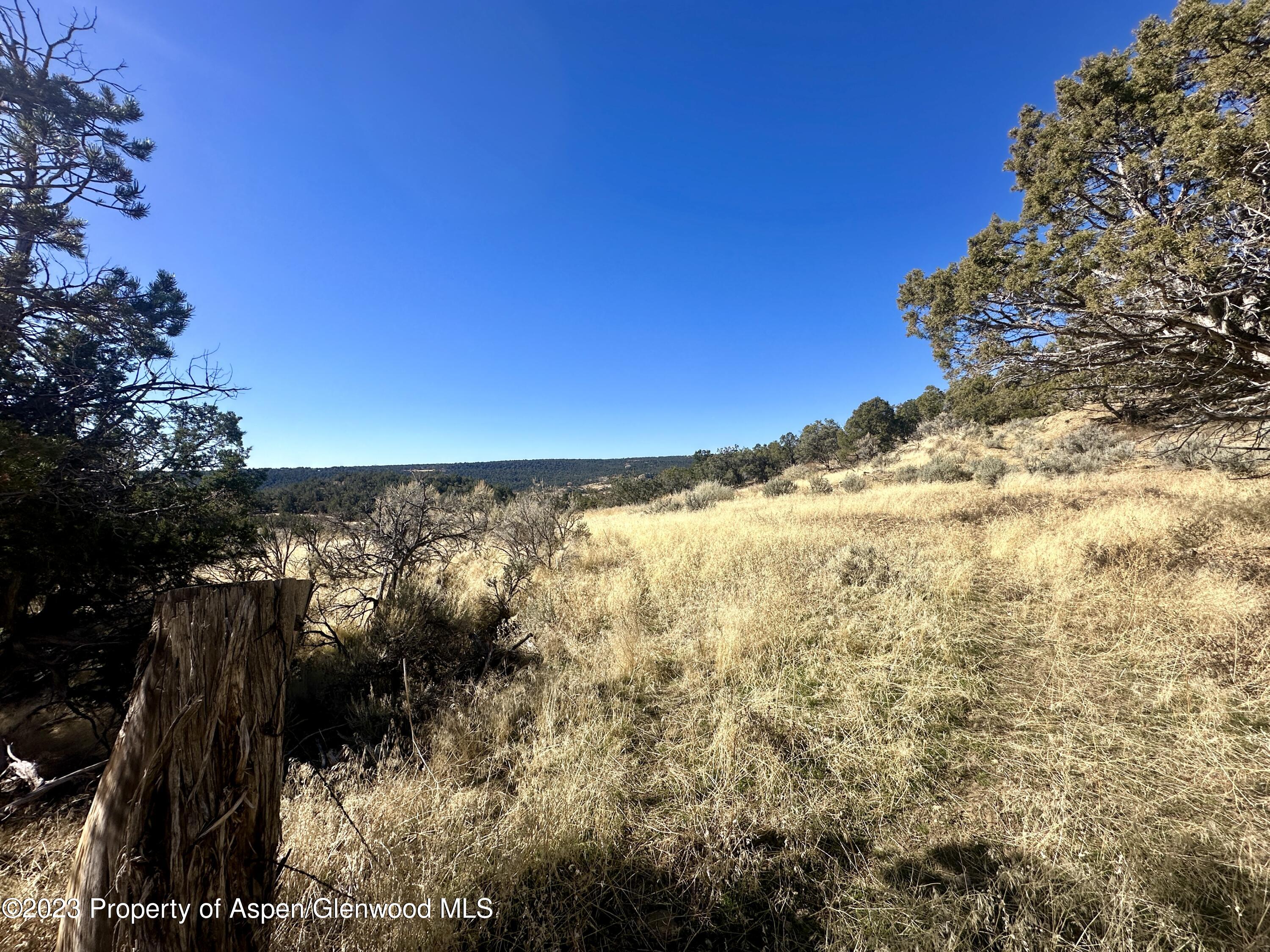 Tbd Cactus Park Road Cedaredge CO 81413
