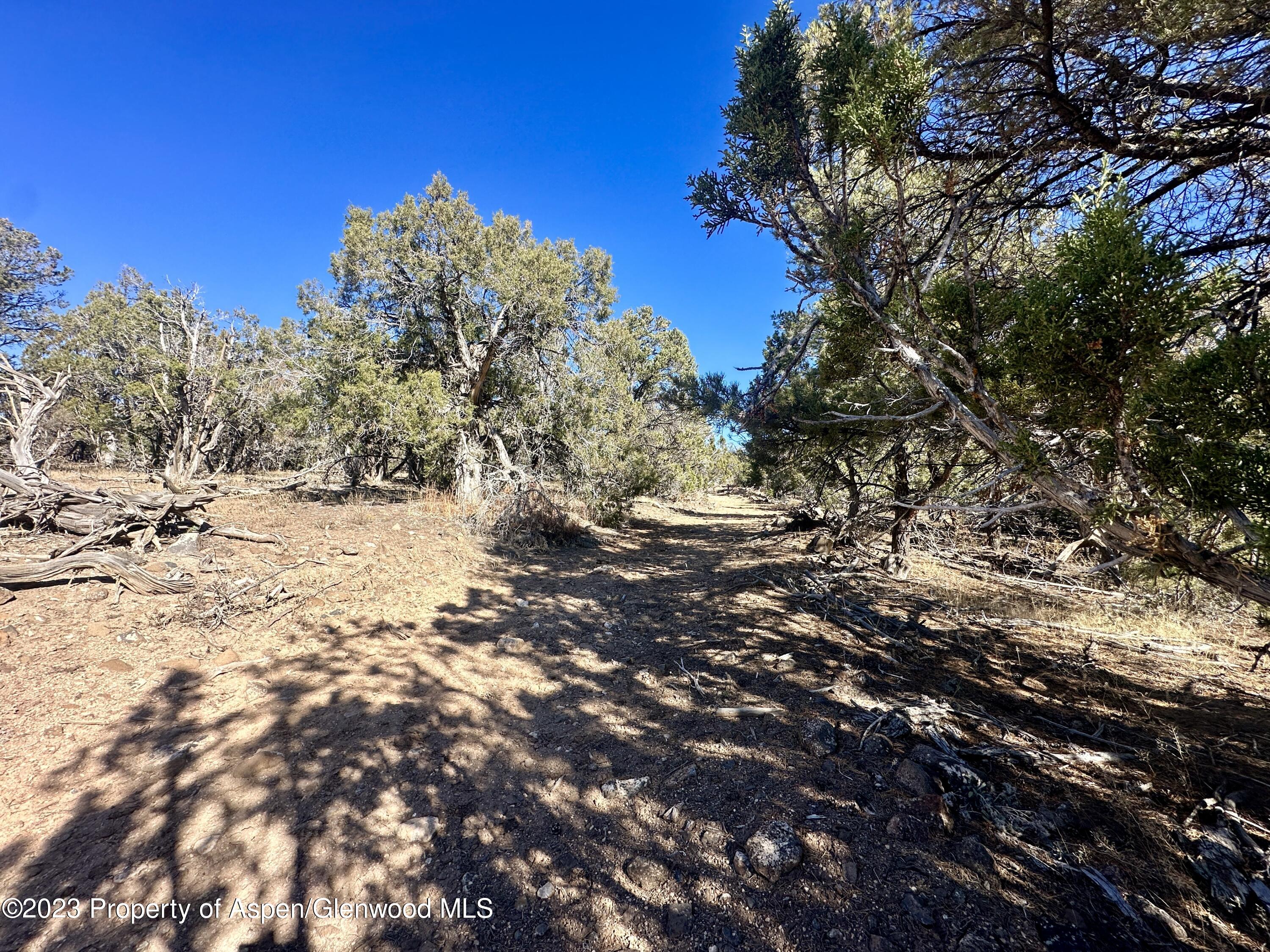 Tbd Cactus Park Road Cedaredge CO 81413