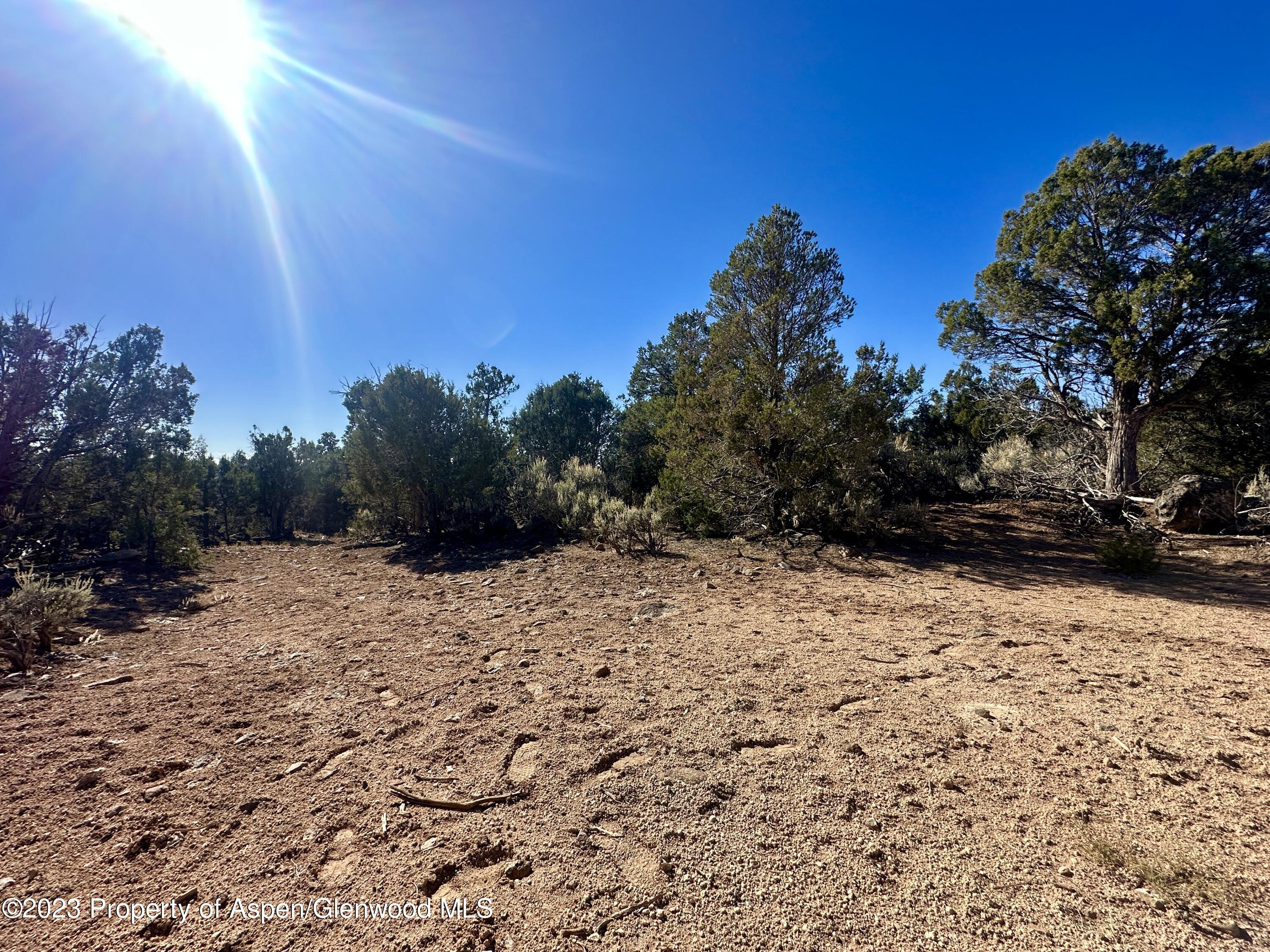 Tbd Cactus Park Road Cedaredge CO 81413