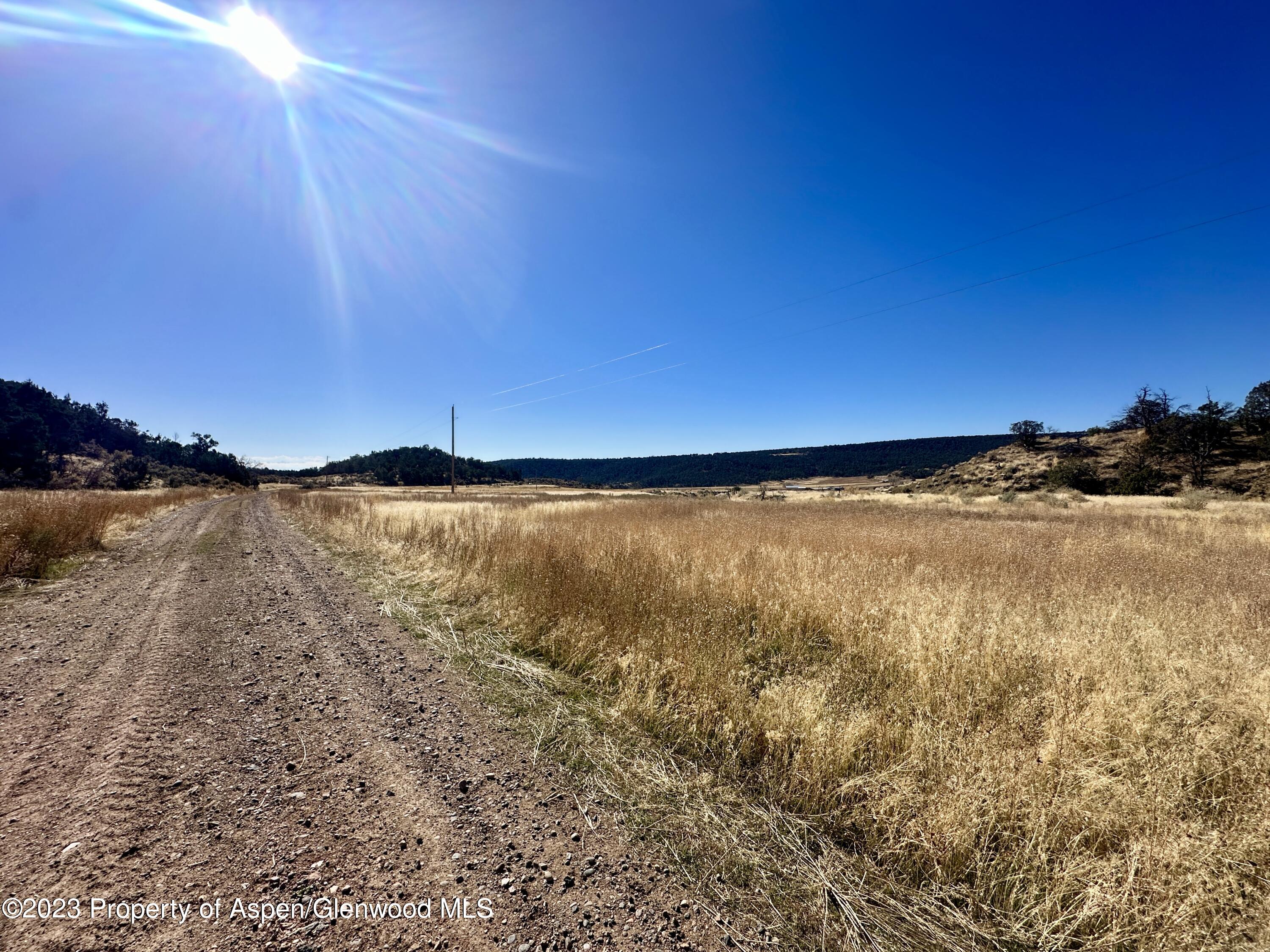 Tbd Cactus Park Road Cedaredge CO 81413