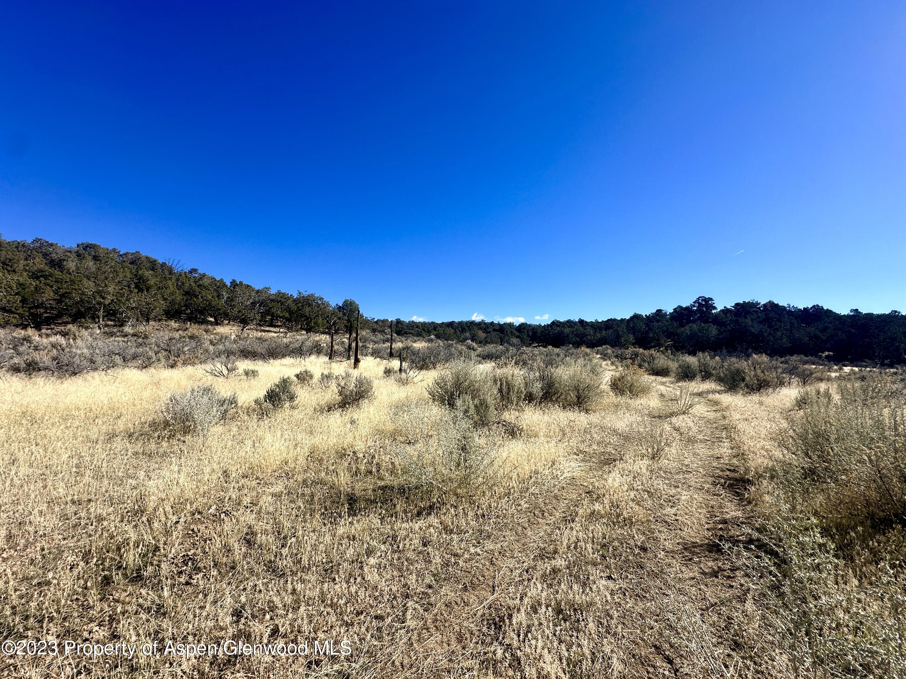Tbd Cactus Park Road Cedaredge CO 81413
