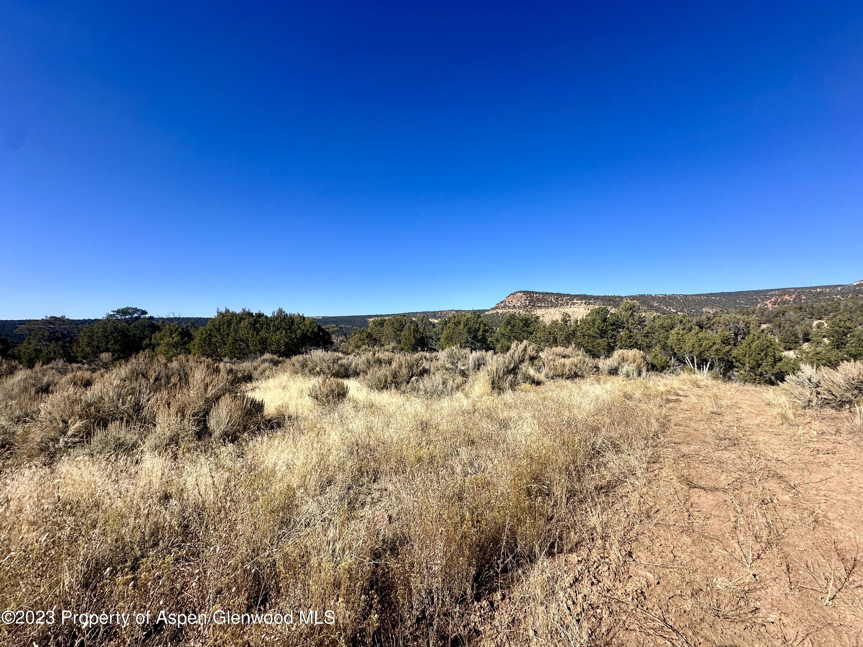 Tbd Cactus Park Road Cedaredge CO 81413