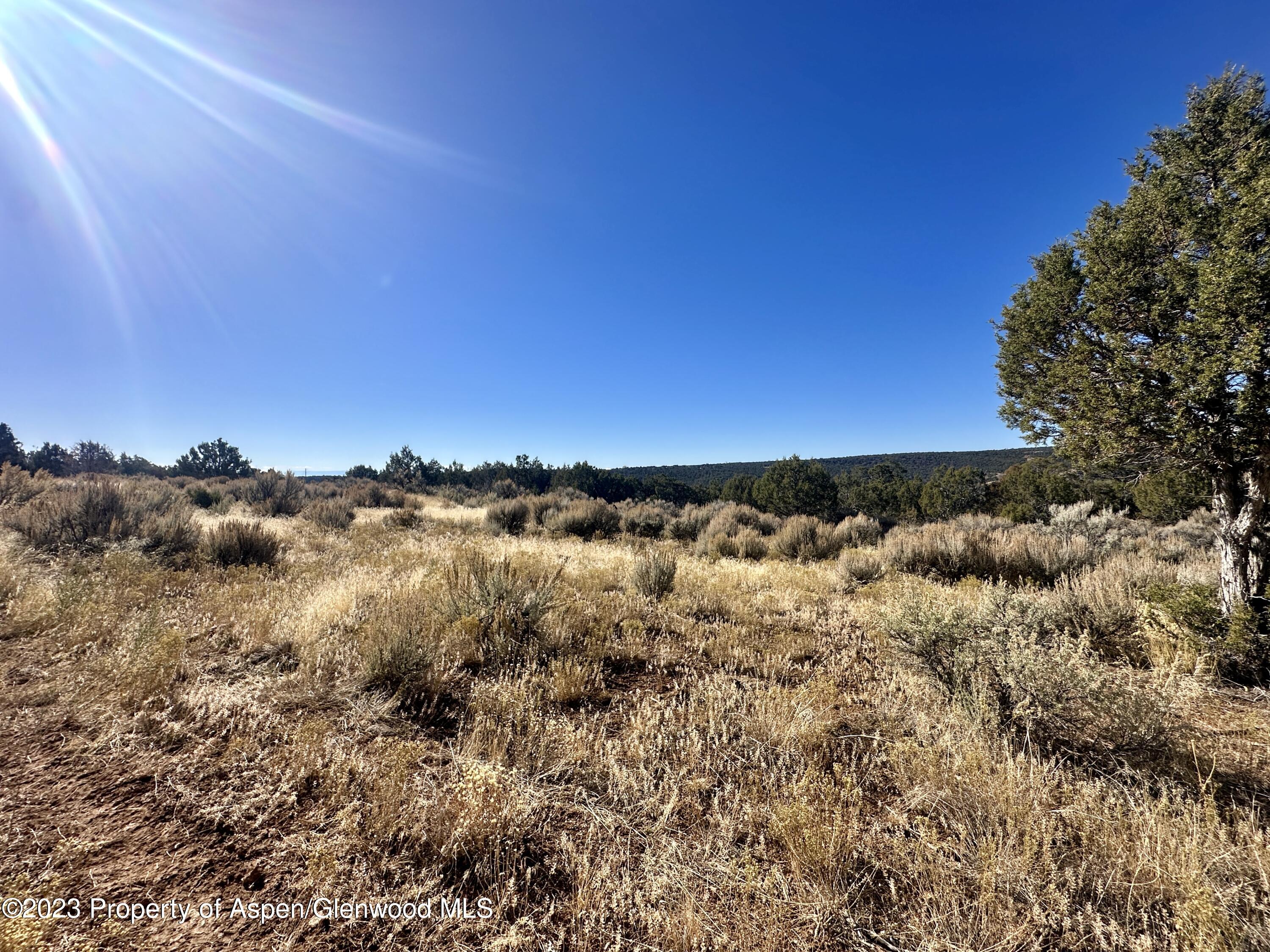 Tbd Cactus Park Road Cedaredge CO 81413