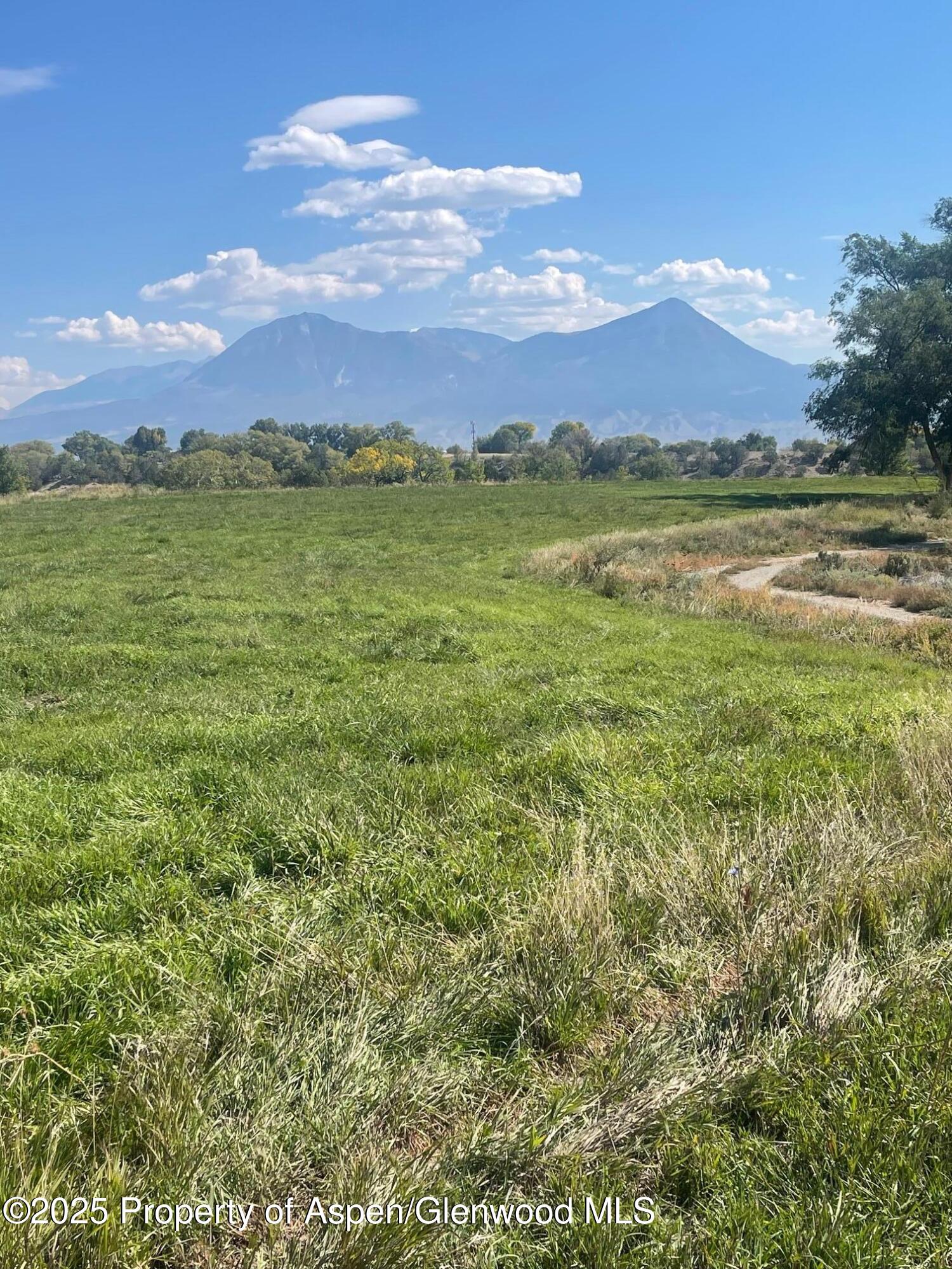 Tbd 3300 Road Hotchkiss CO 81419